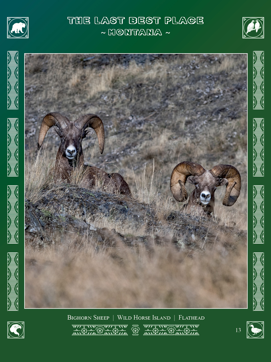 Pages from Montana Wildlife book by Bret Bouda
