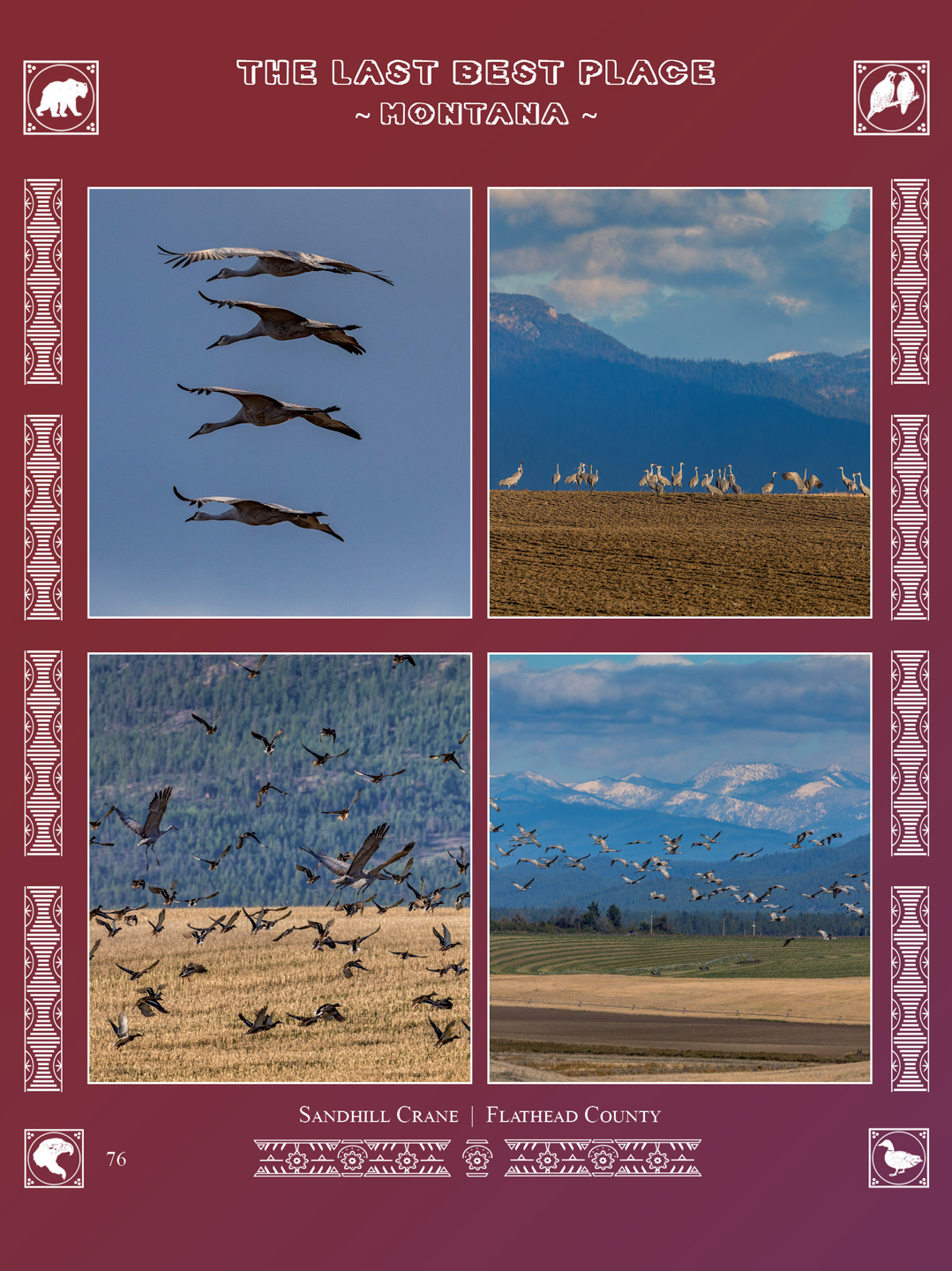 Pages from Montana Wildlife book by Bret Bouda