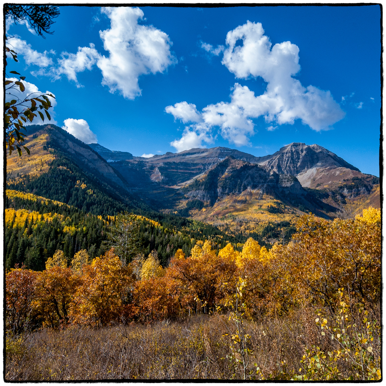 Alpine Canyon, Utah
