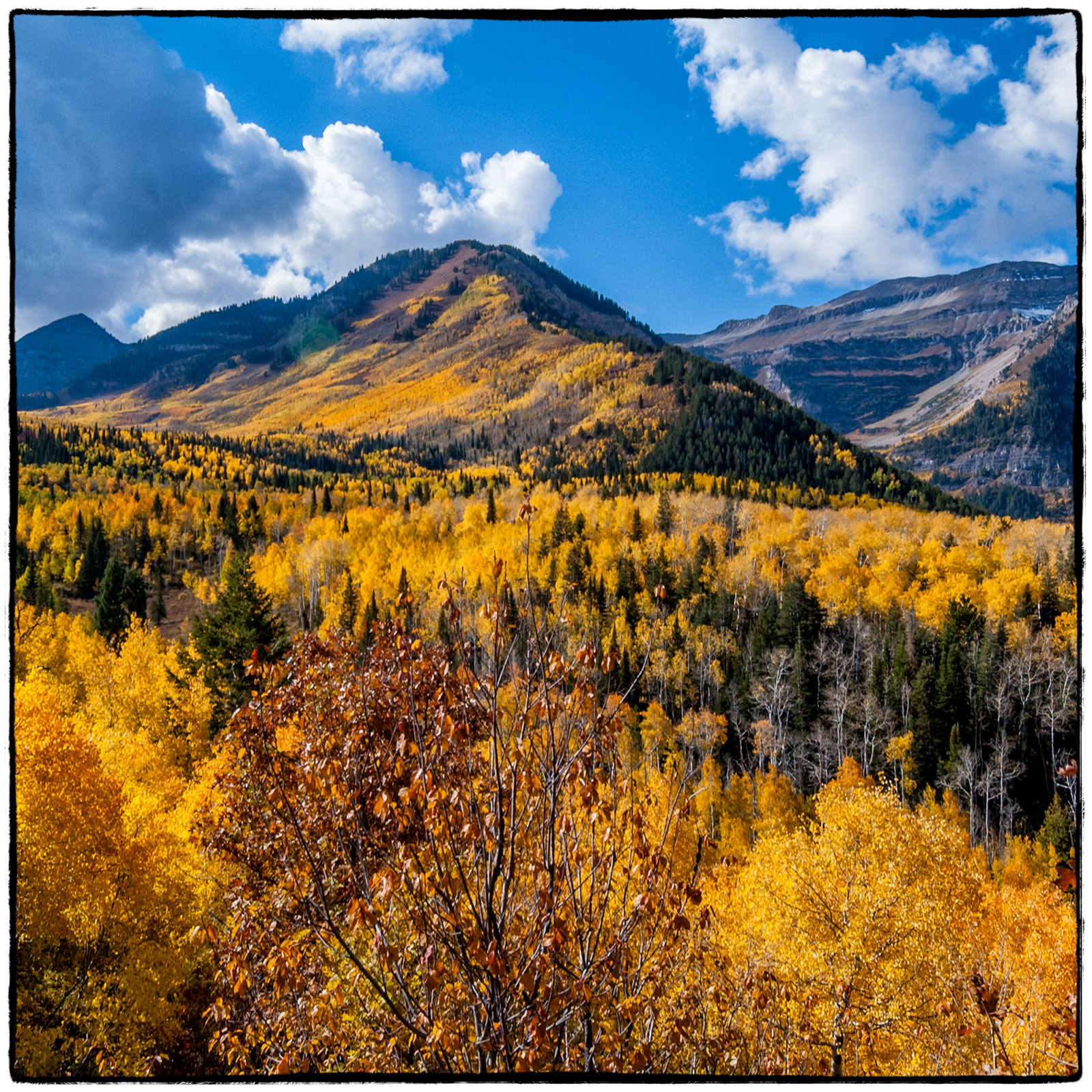 Alpine Canyon, Utah