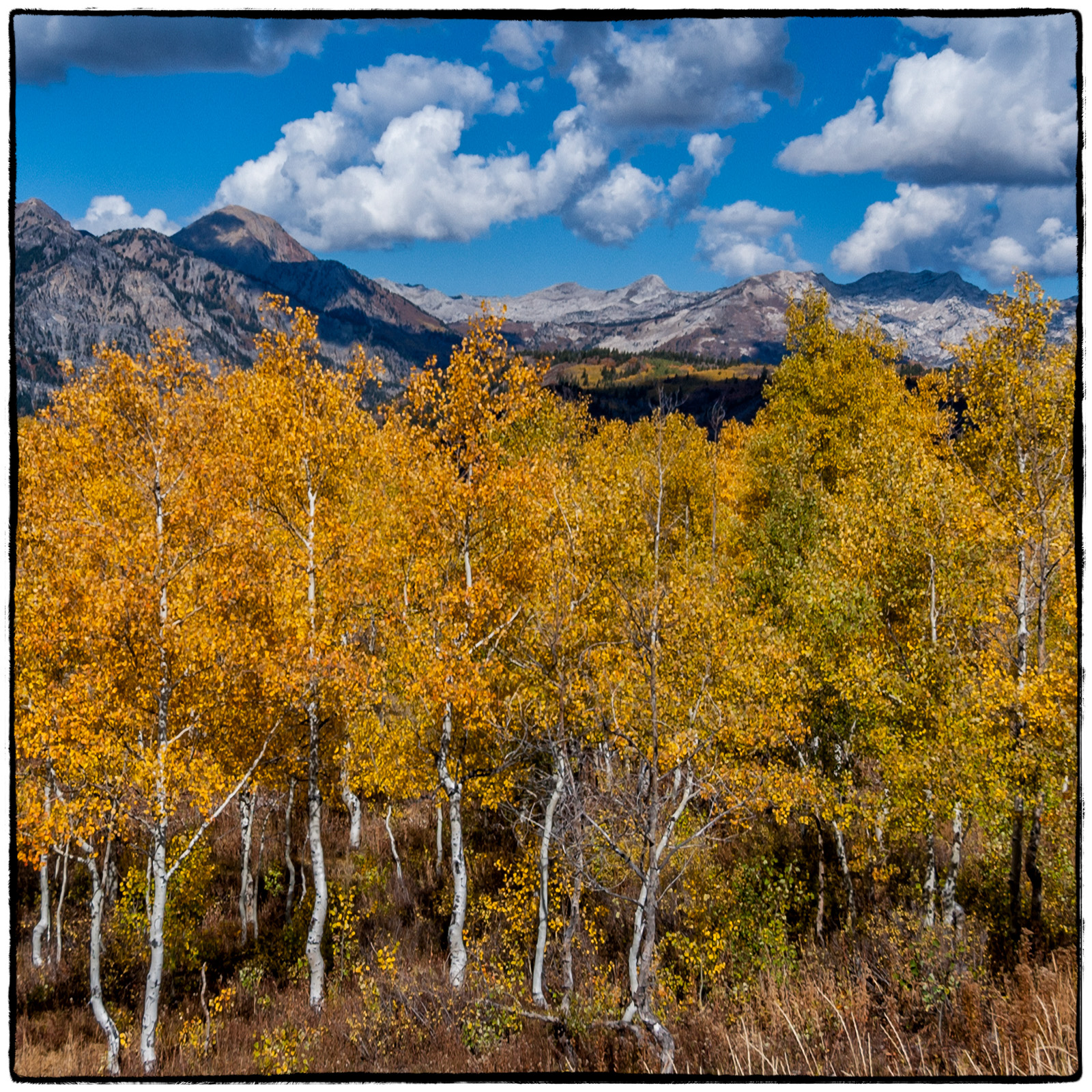 Alpine Canyon, Utah