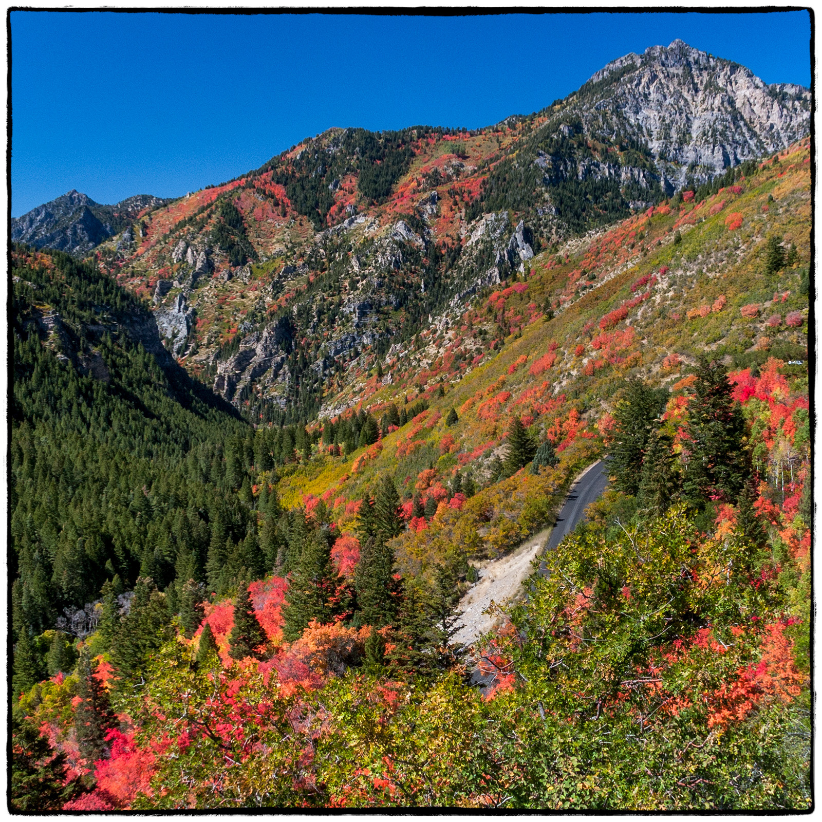 Alpine Canyon, Utah