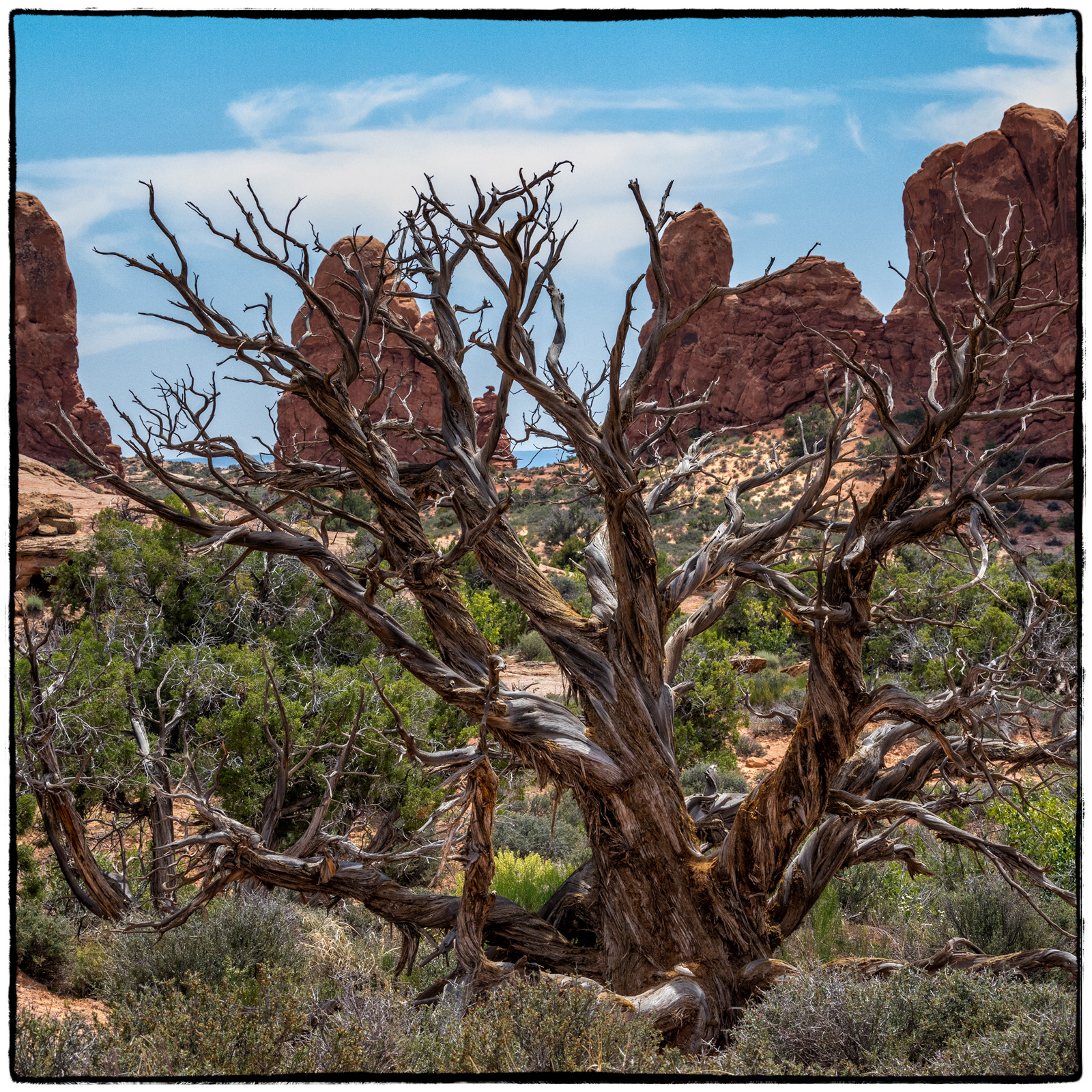 2019 Arches National Park, Utah