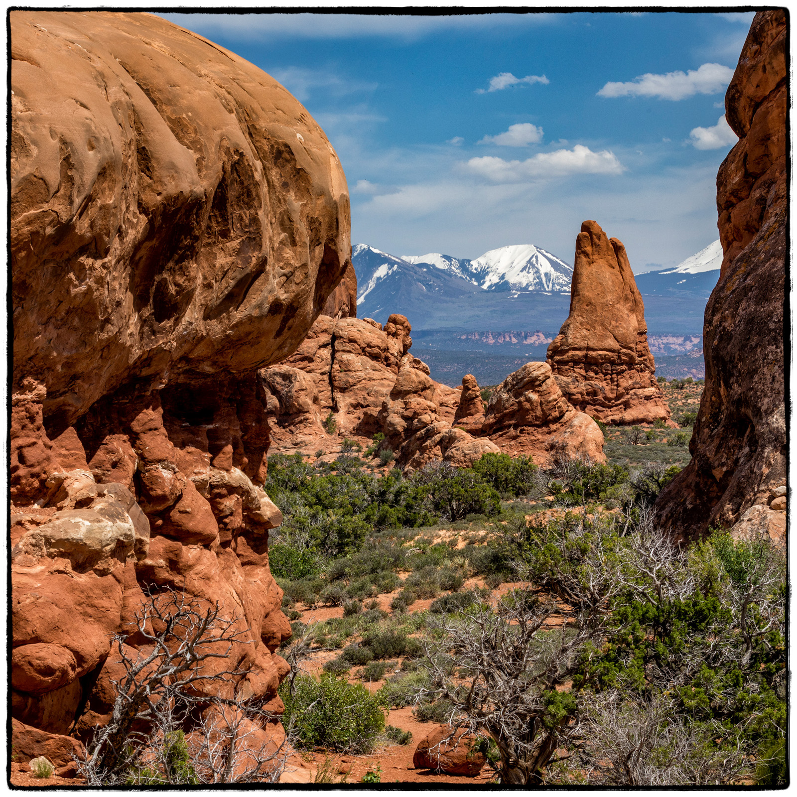2019 Arches National Park, Utah