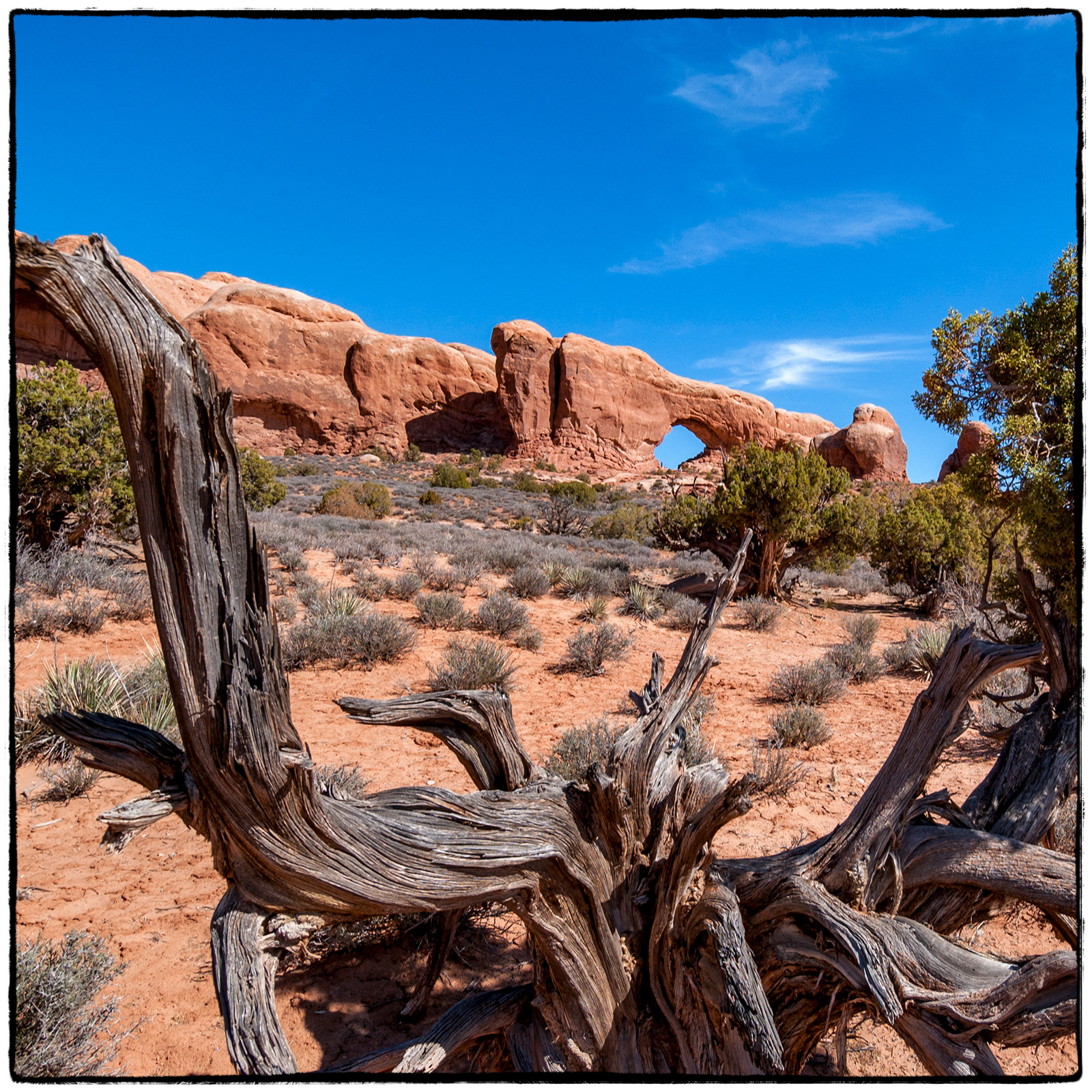 2004 Arches National Park, Utah