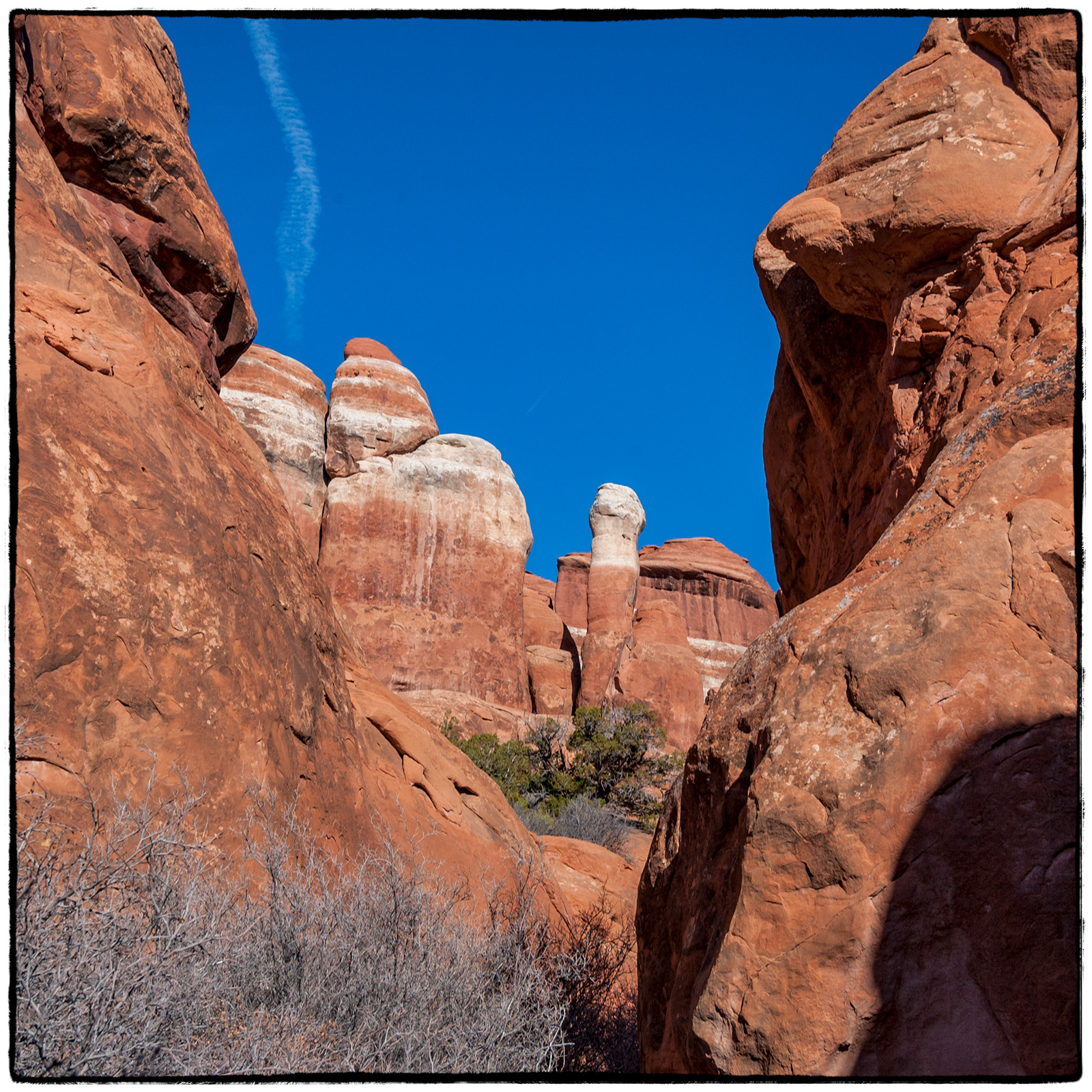 2004 Arches National Park, Utah