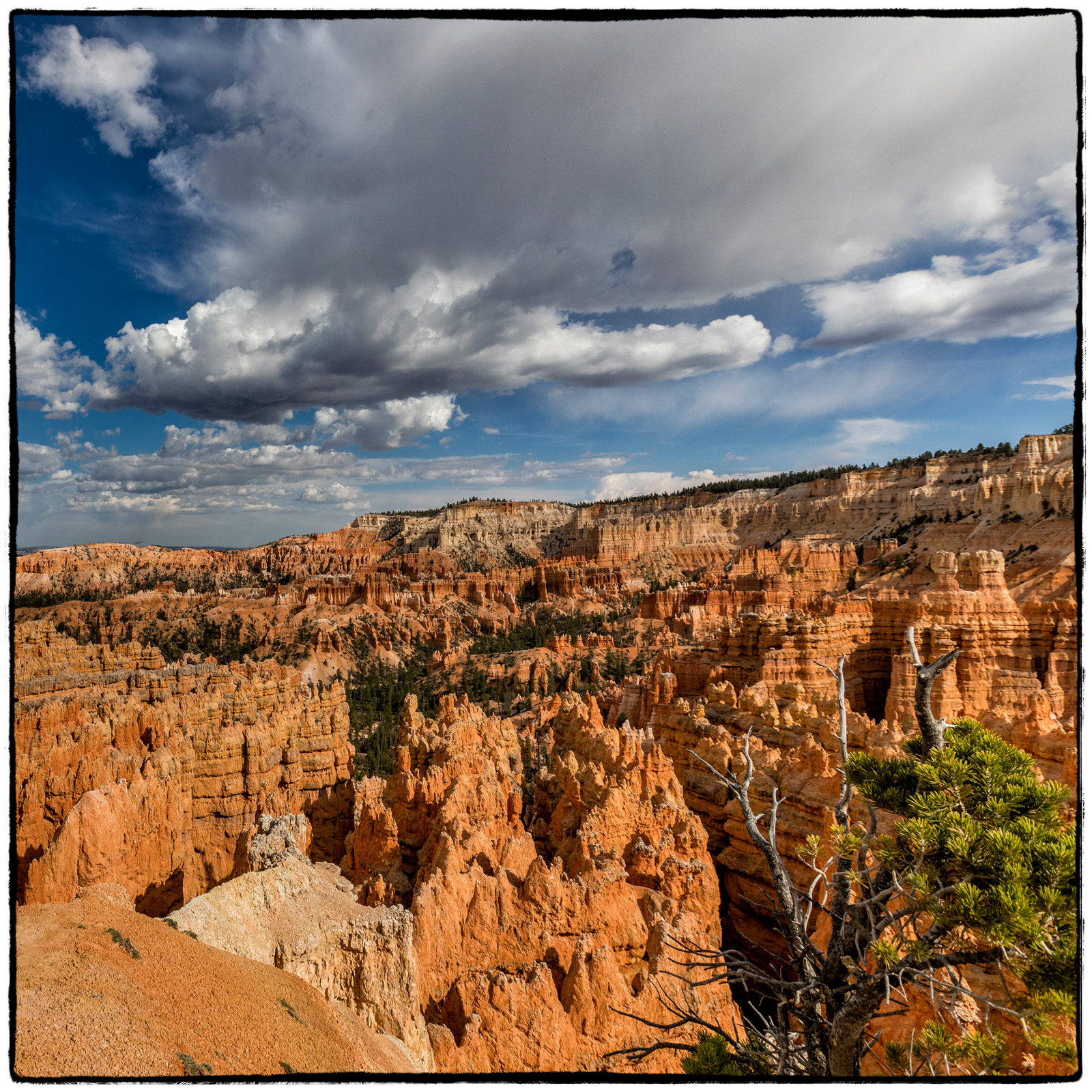 Bryce National Park, Utah