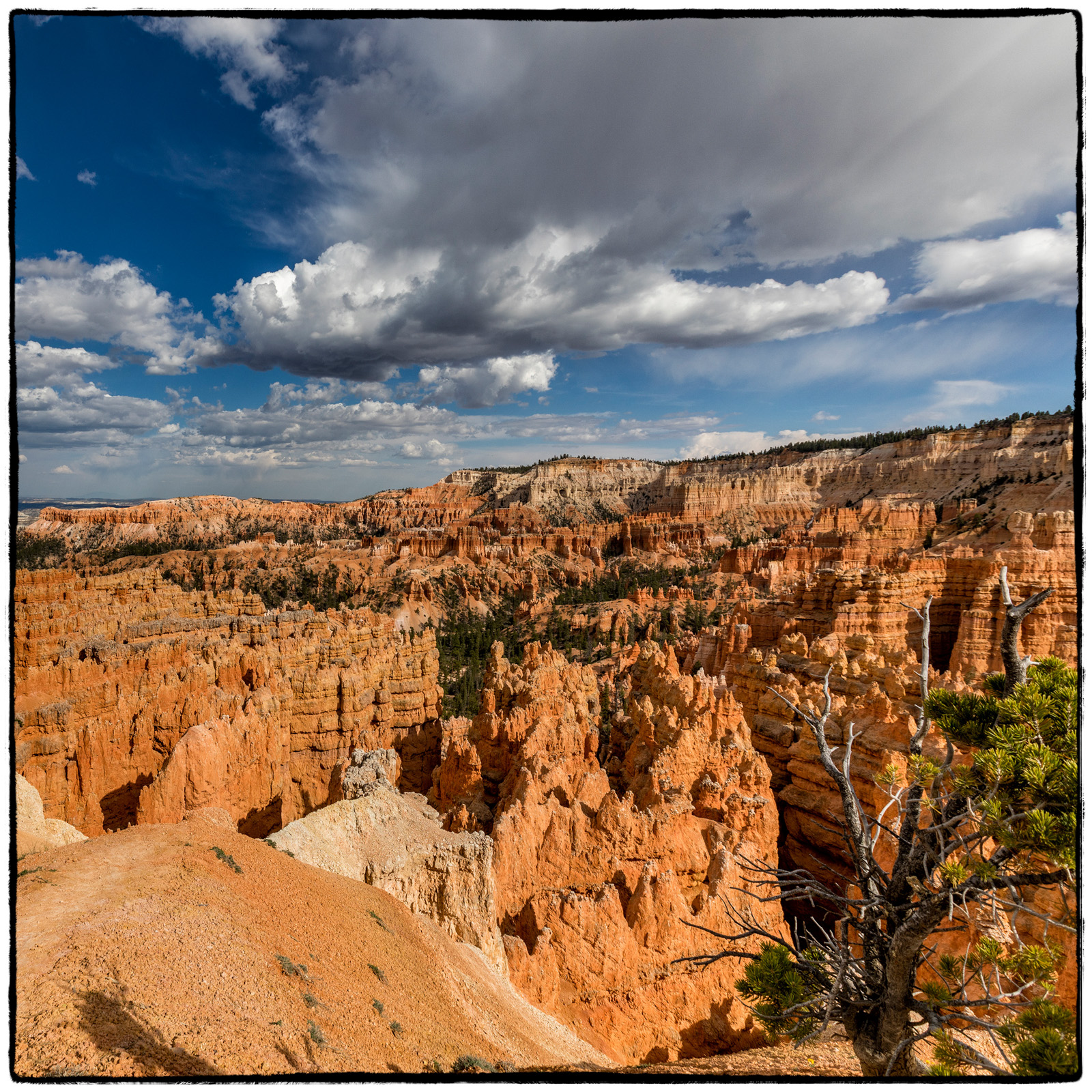 Bryce National Park, Utah