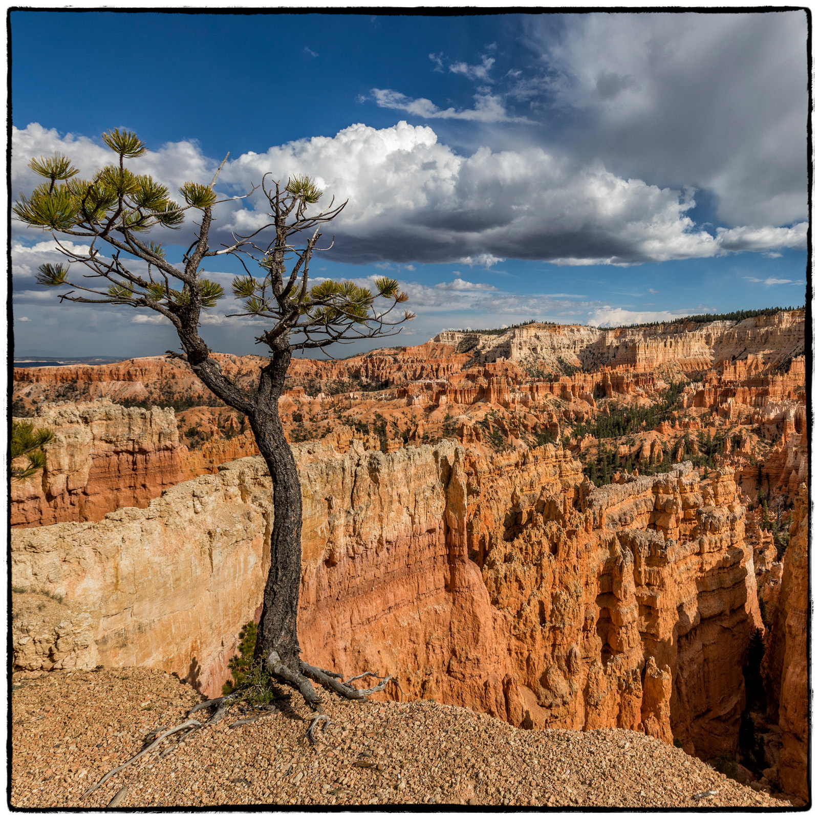 Bryce National Park, Utah