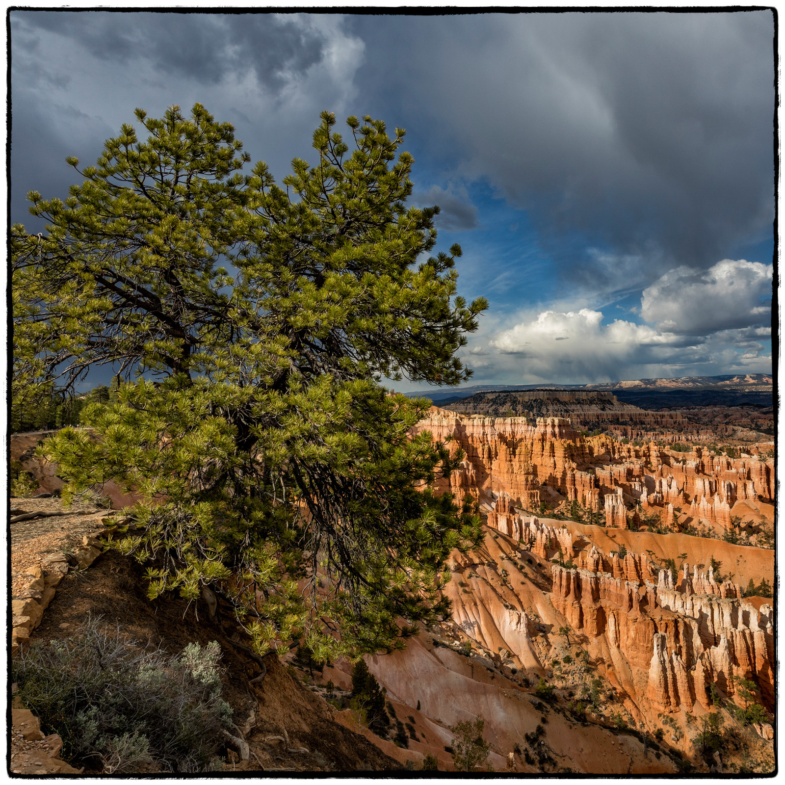 Bryce National Park, Utah