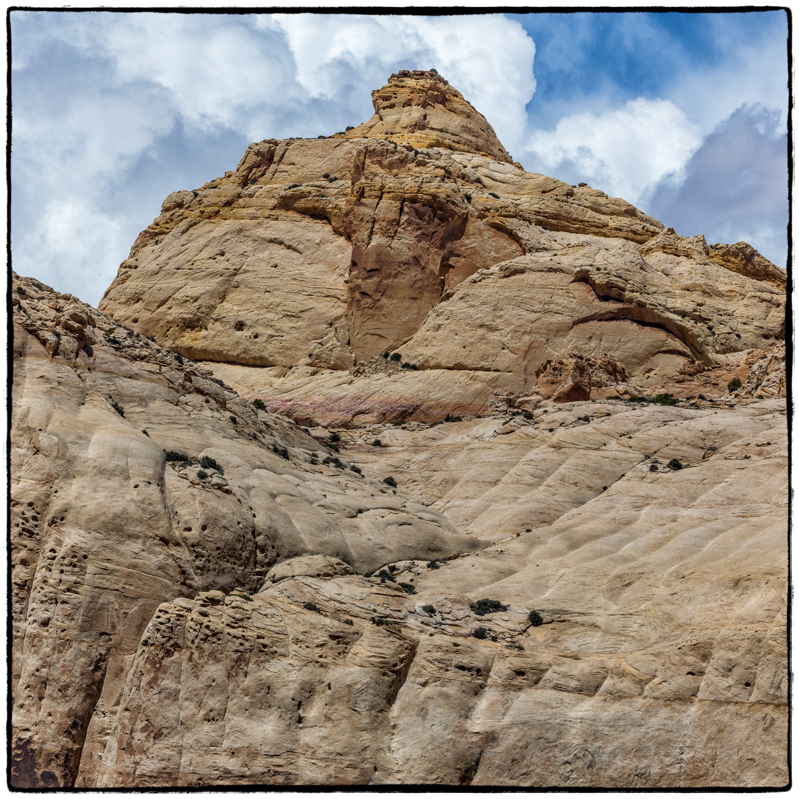 Capitol Reef National Park, Utah