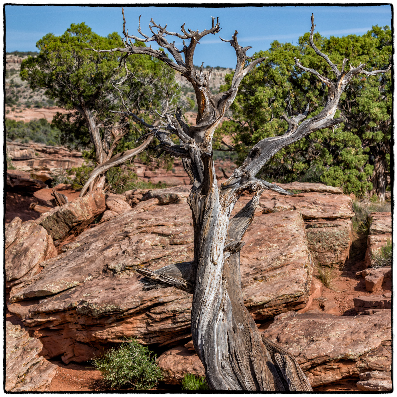 2019 Colorado Monument National Park, Colorado