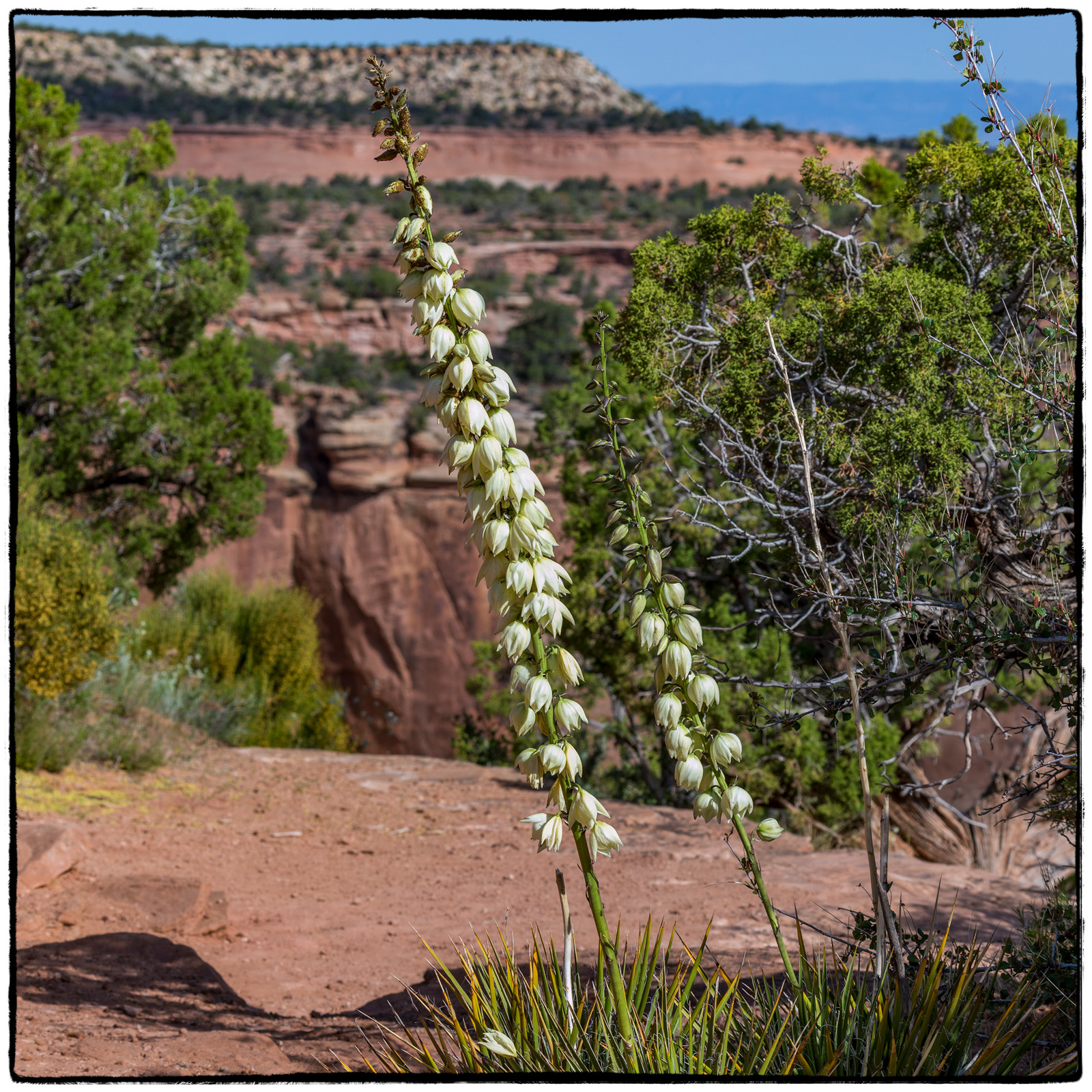 2019 Colorado Monument National Park, Colorado