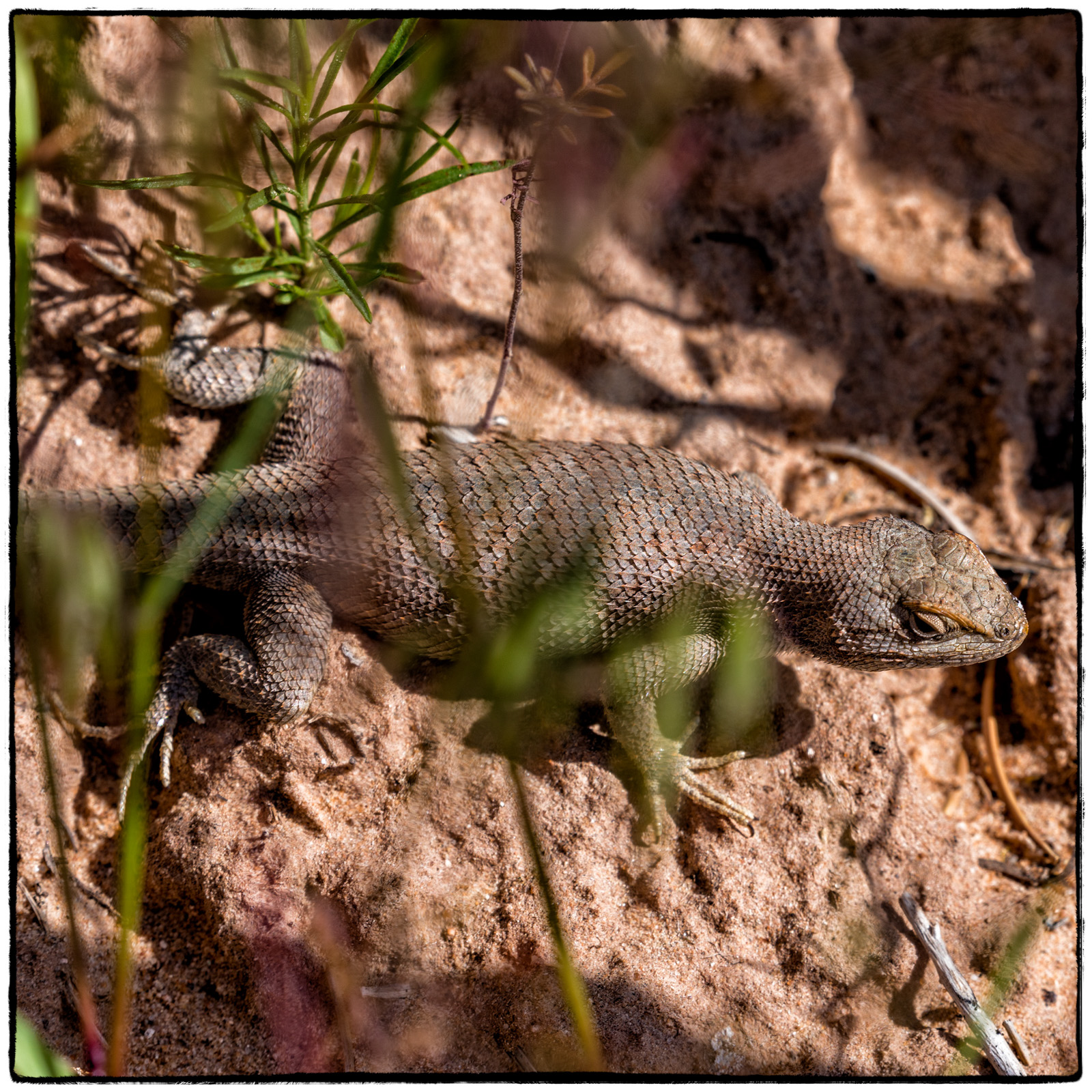 2019 Colorado Monument National Park, Colorado