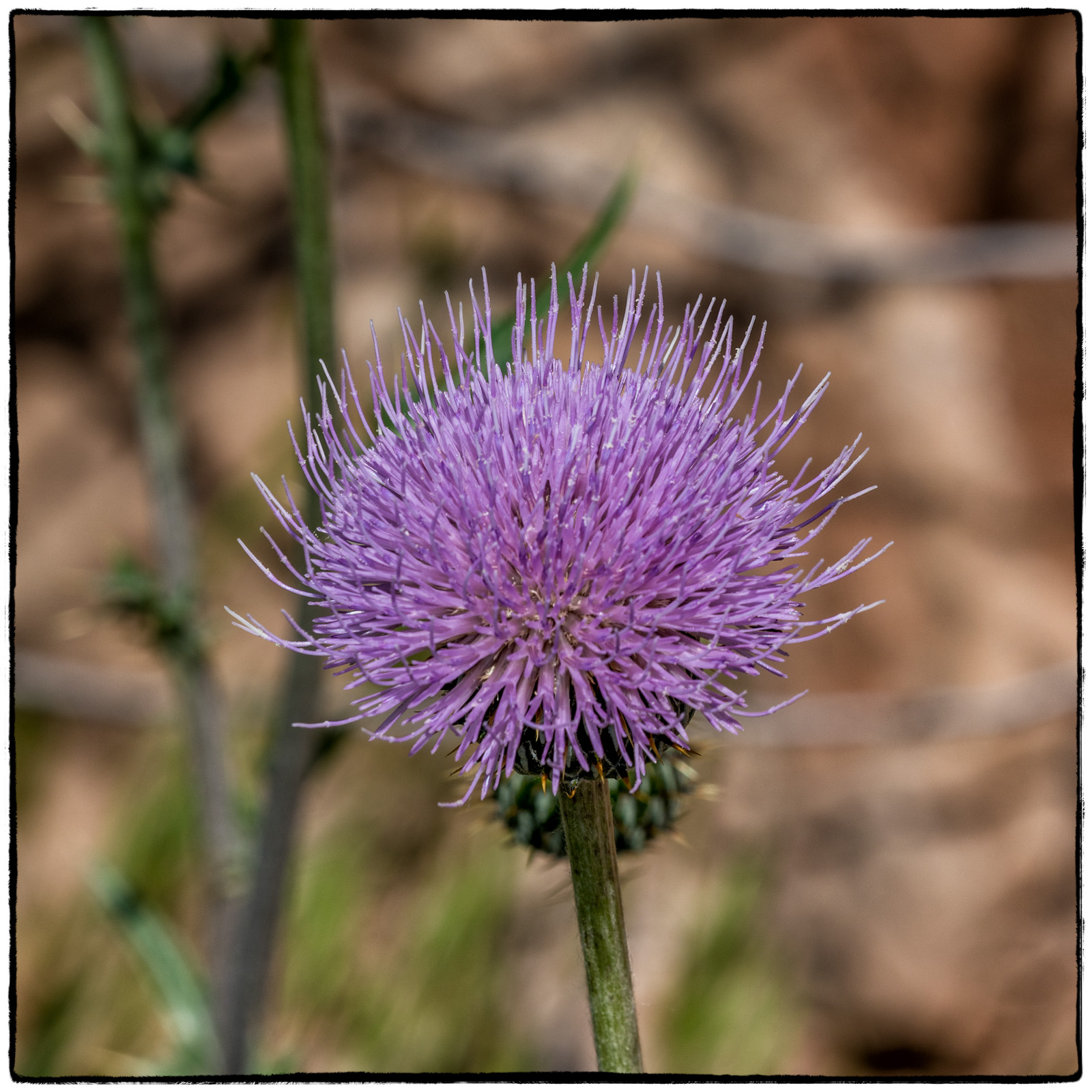 2019 Colorado Monument National Park, Colorado