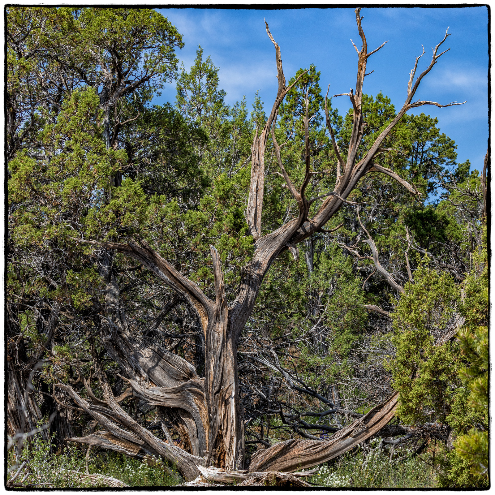2019 Colorado Monument National Park, Colorado