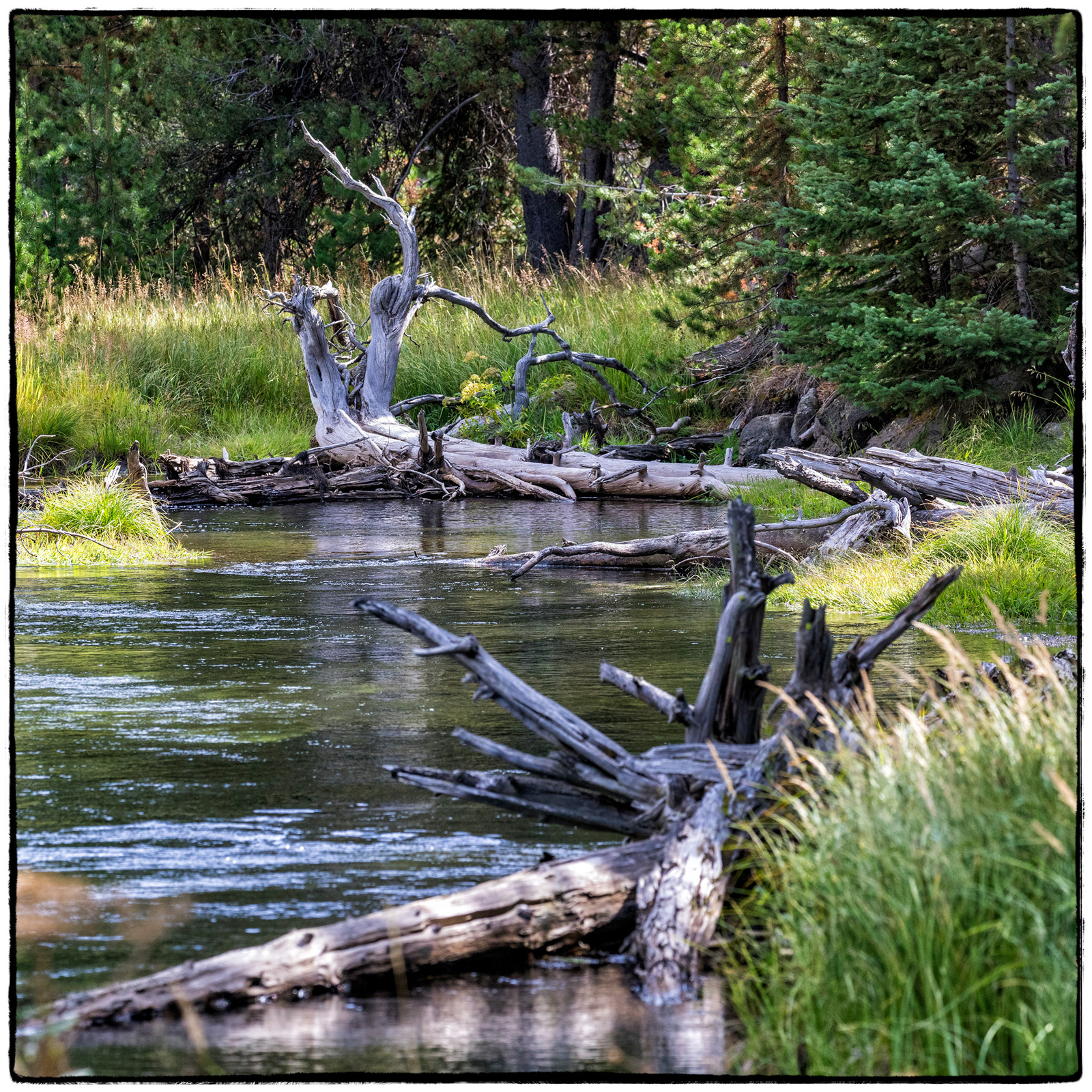 Yellowstone National Park, Wyoming
