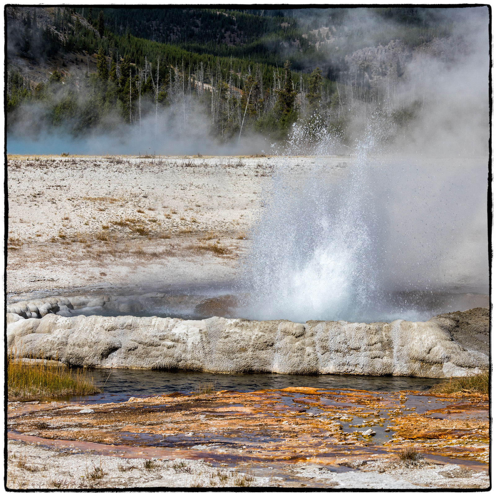 Yellowstone National Park, Wyoming