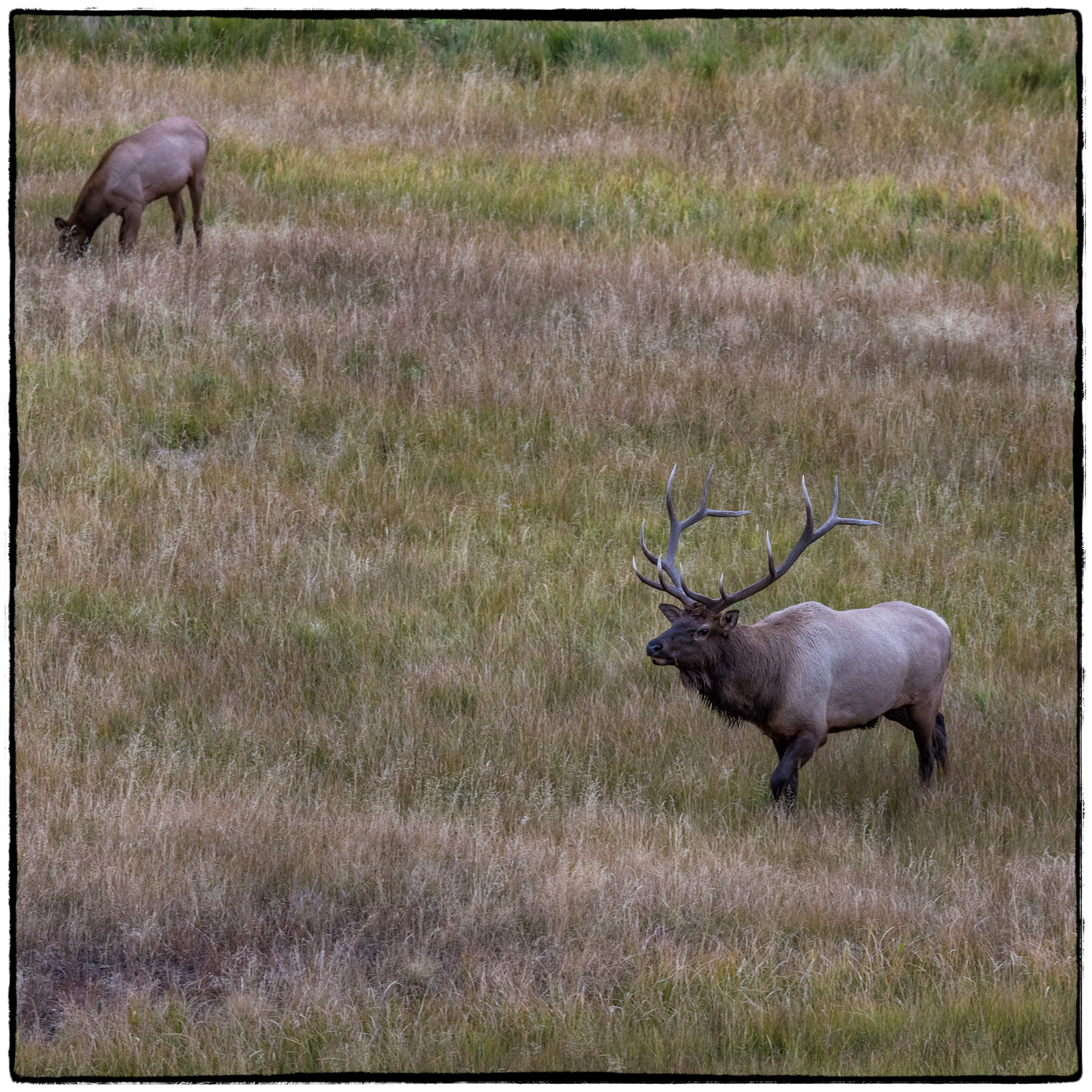 Yellowstone National Park, Wyoming