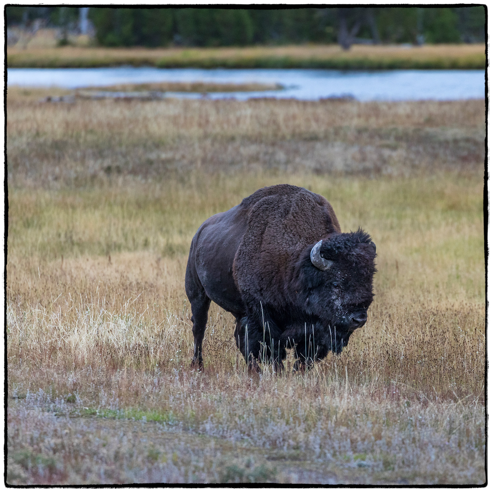 Yellowstone National Park, Wyoming