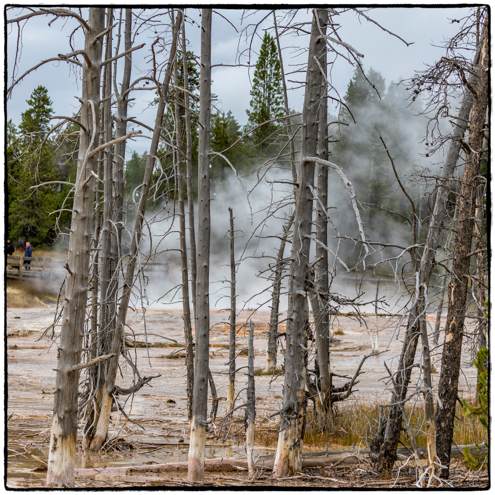 Yellowstone National Park, Wyoming