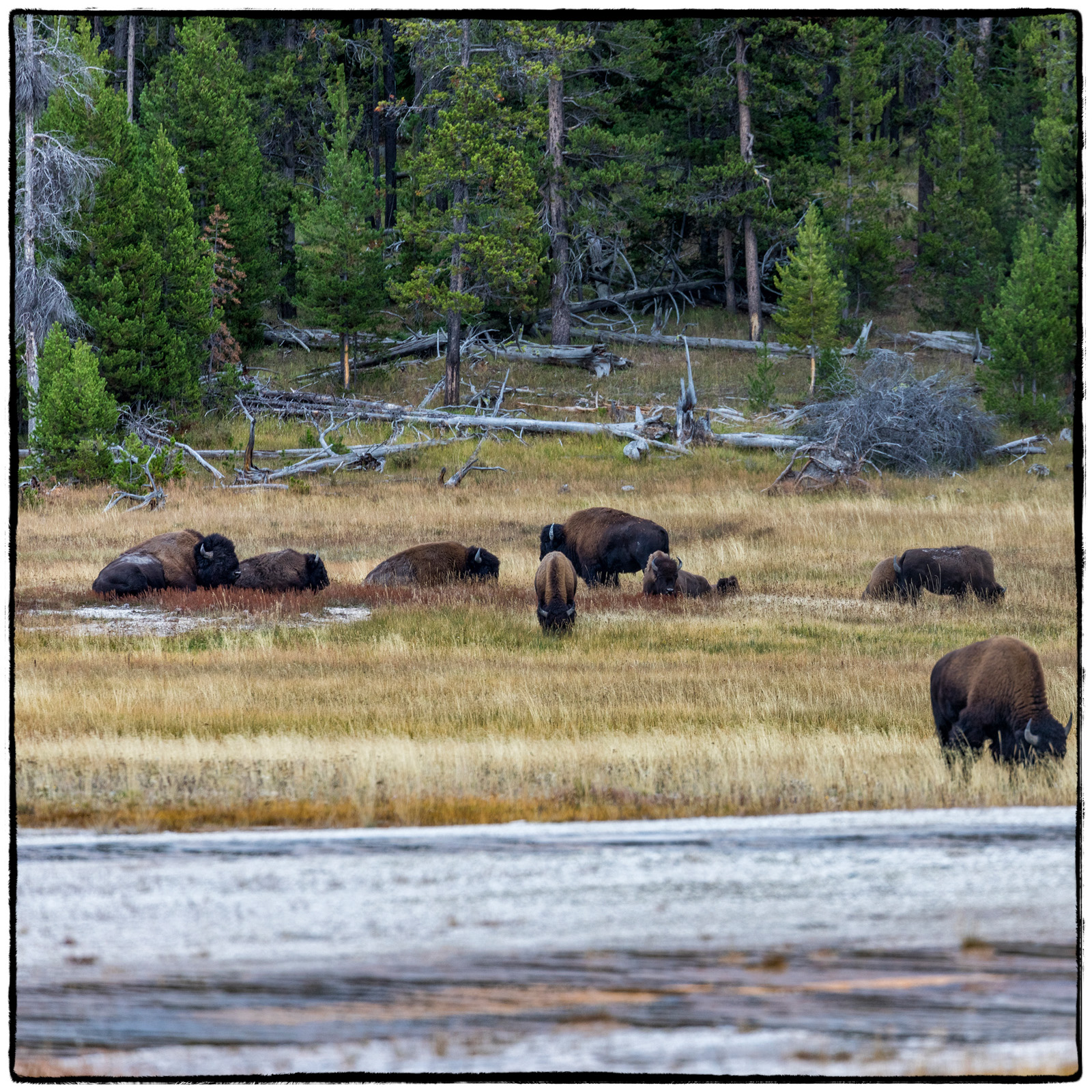 Yellowstone National Park, Wyoming