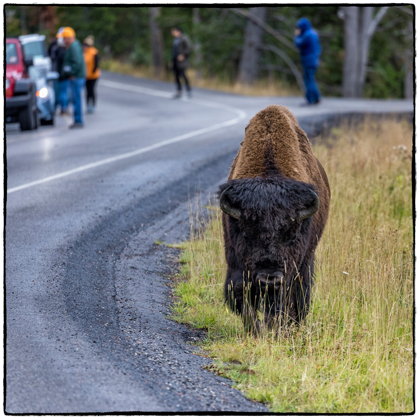 Yellowstone National Park, Wyoming