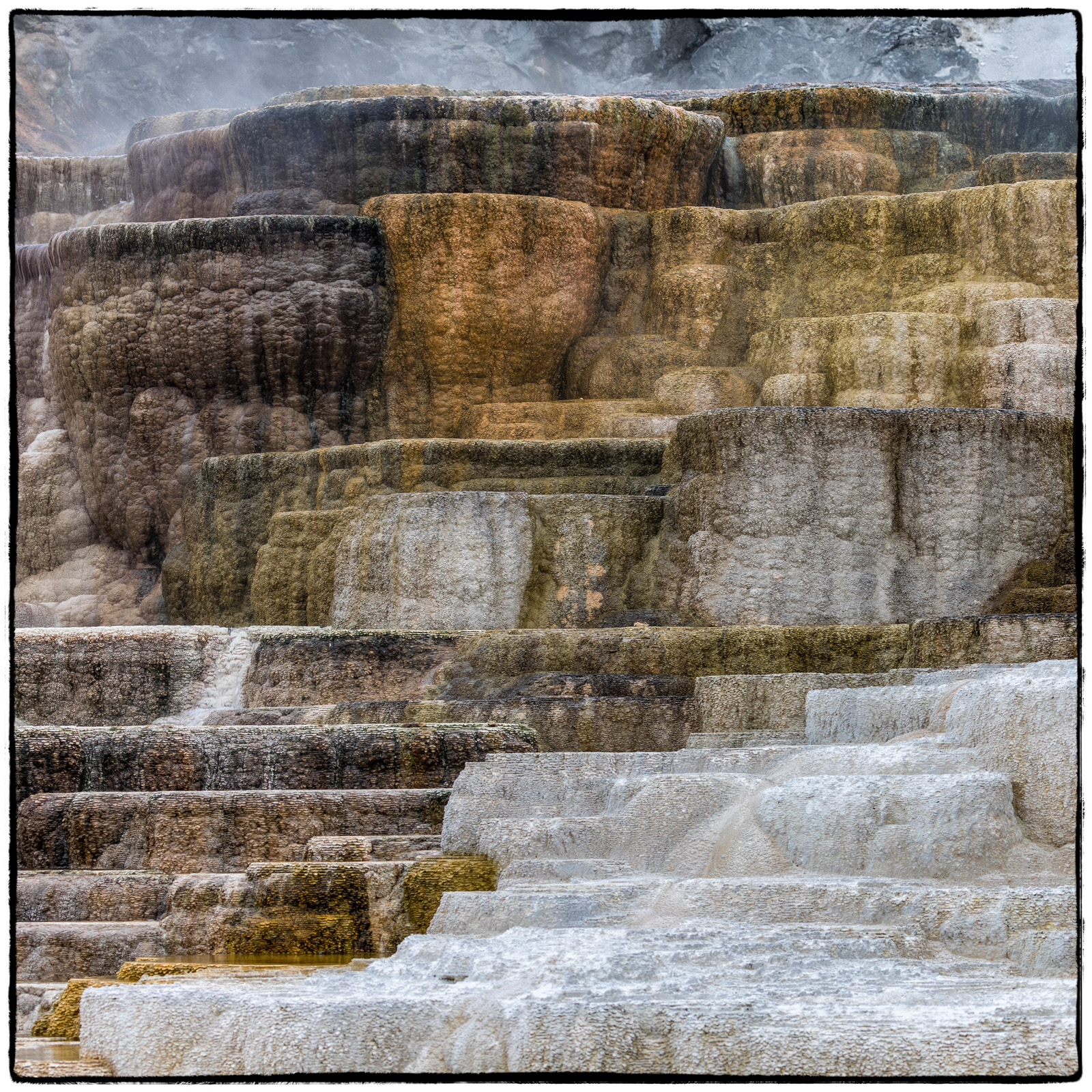 Yellowstone National Park, Wyoming