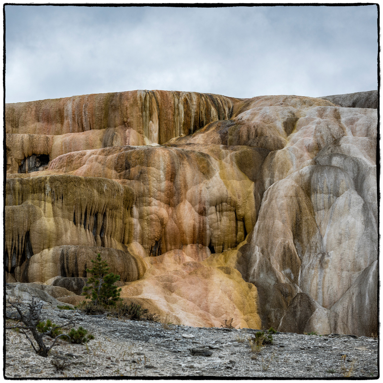 Yellowstone National Park, Wyoming
