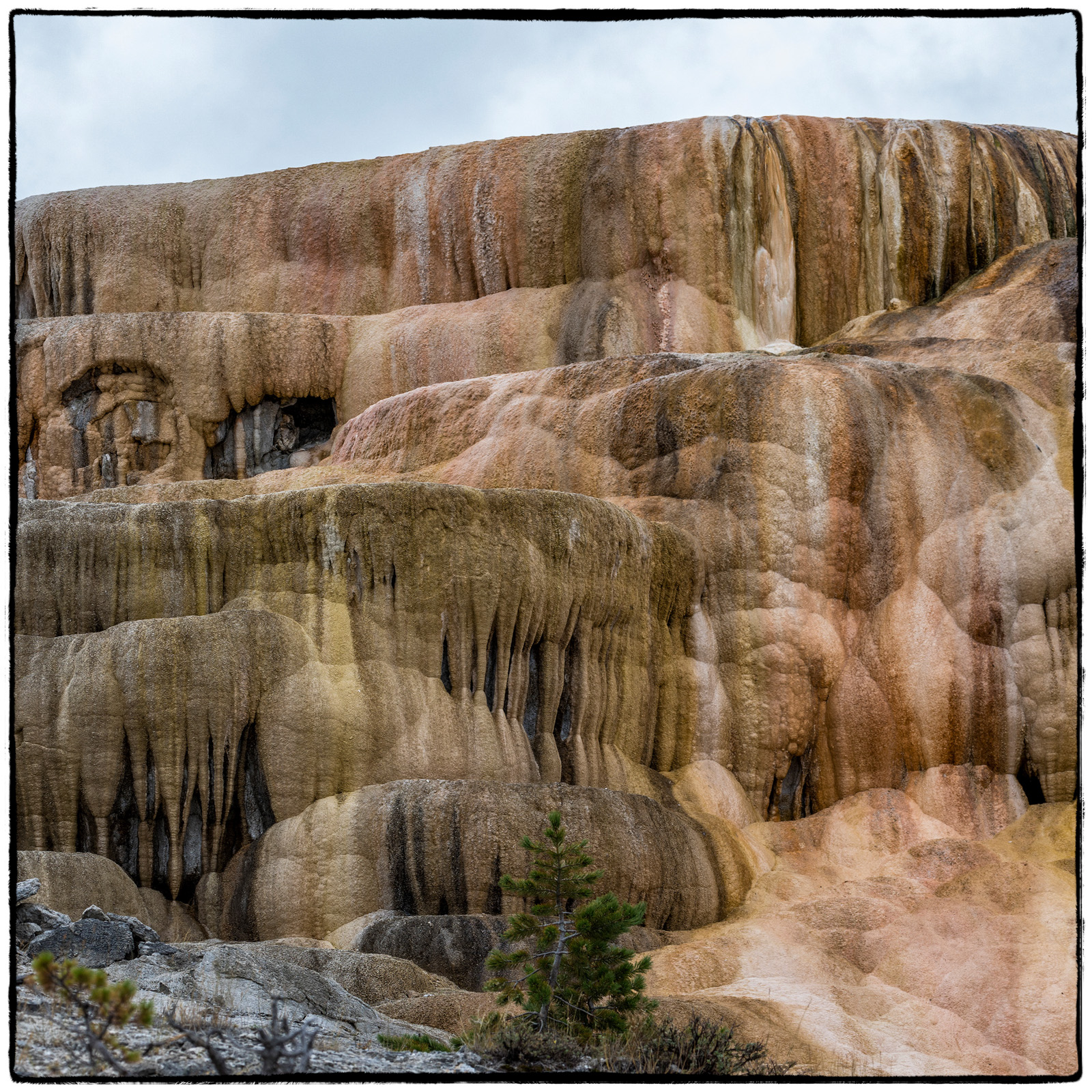 Yellowstone National Park, Wyoming