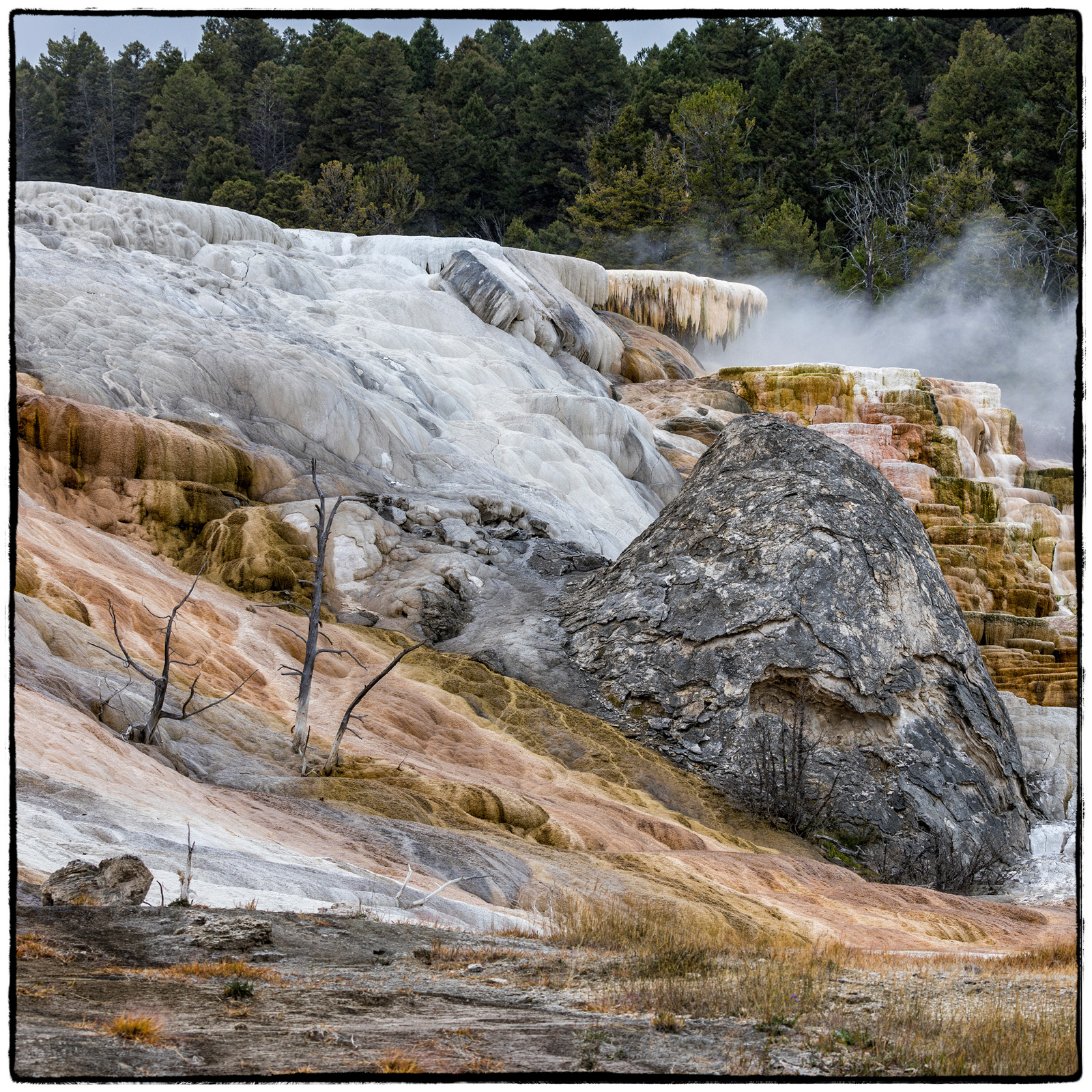 Yellowstone National Park, Wyoming