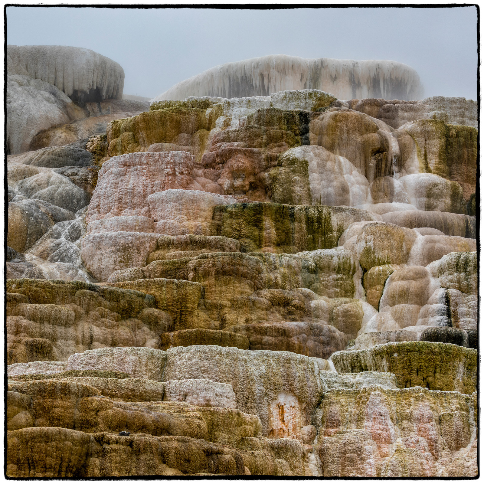 Yellowstone National Park, Wyoming