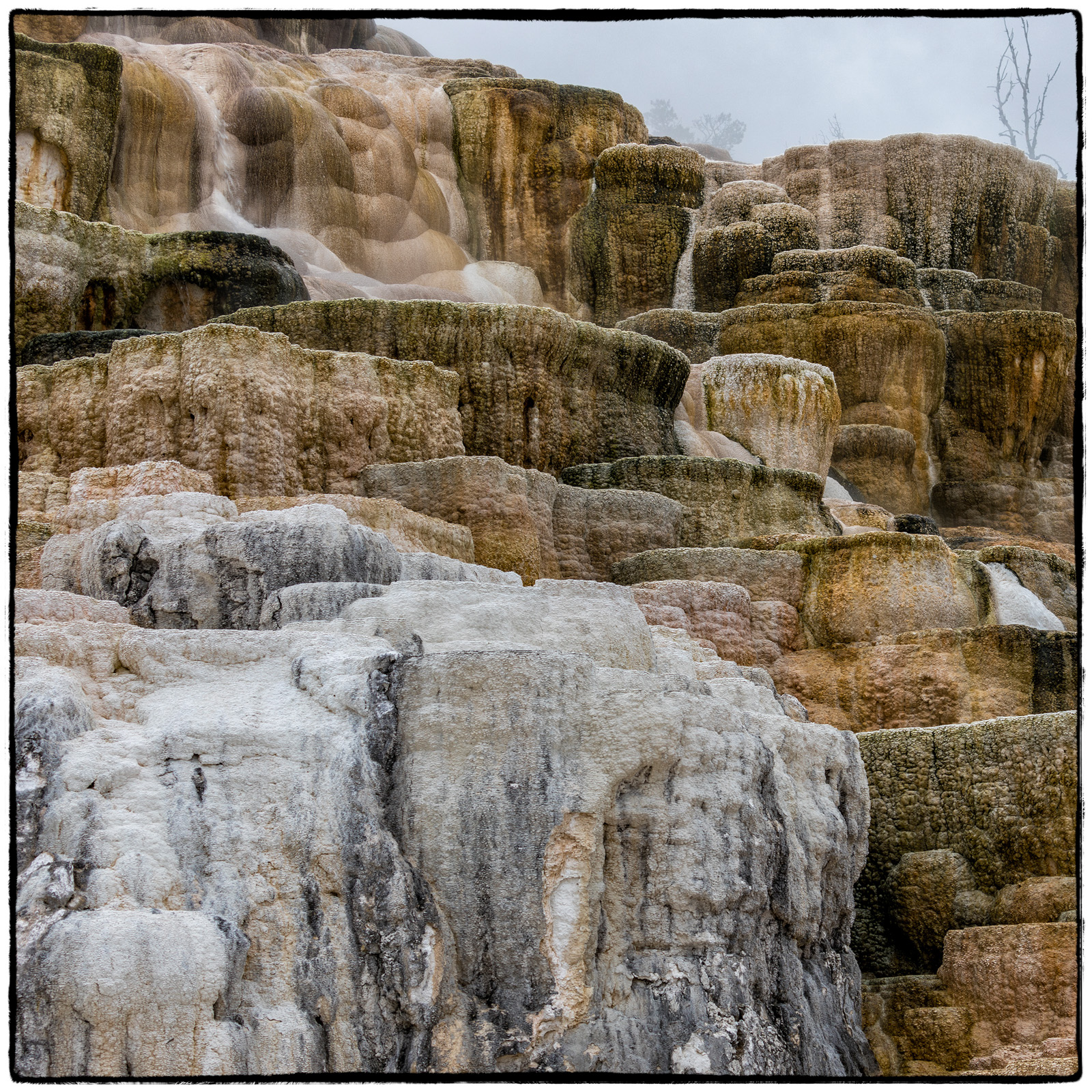 Yellowstone National Park, Wyoming