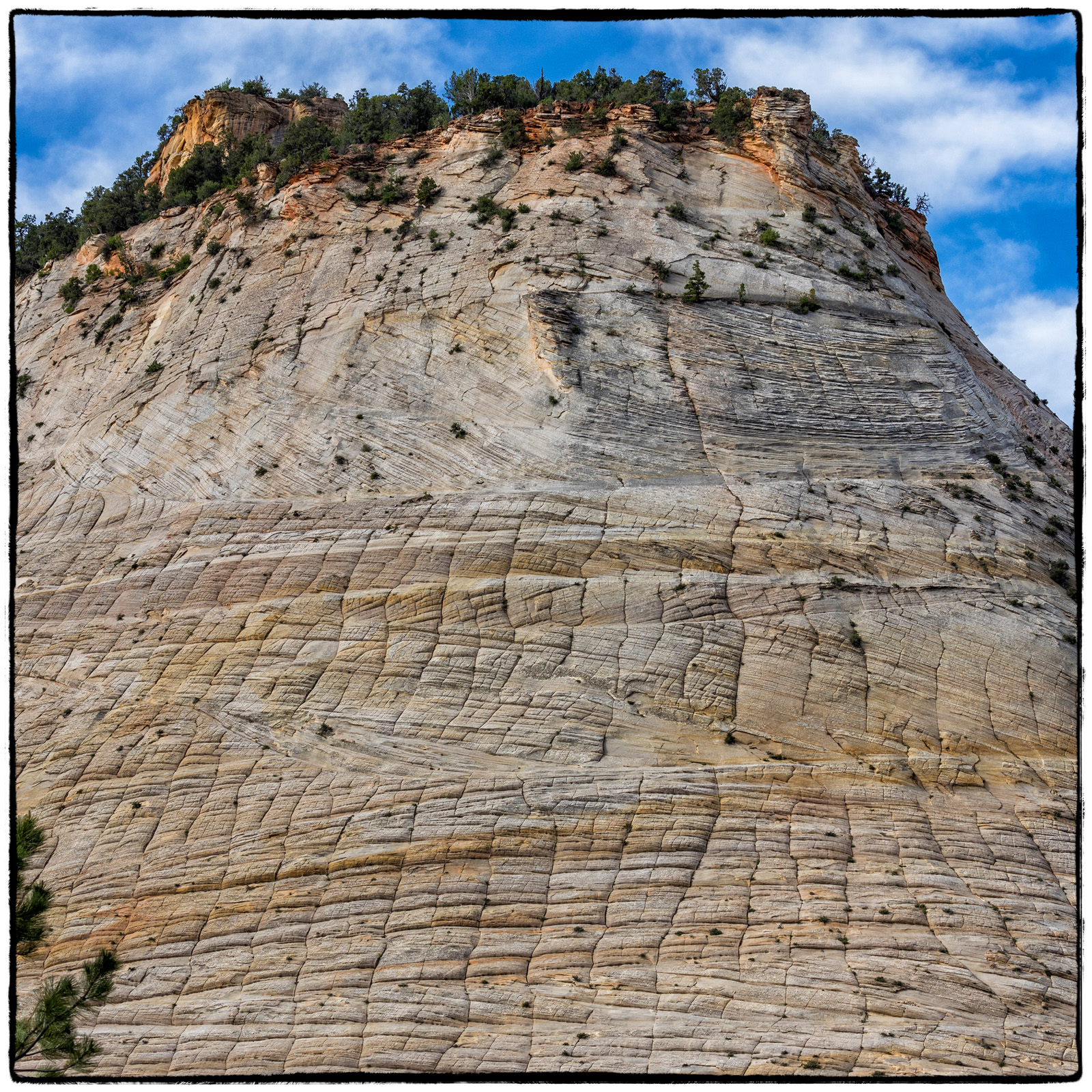 2019 Zion National Park, Utah