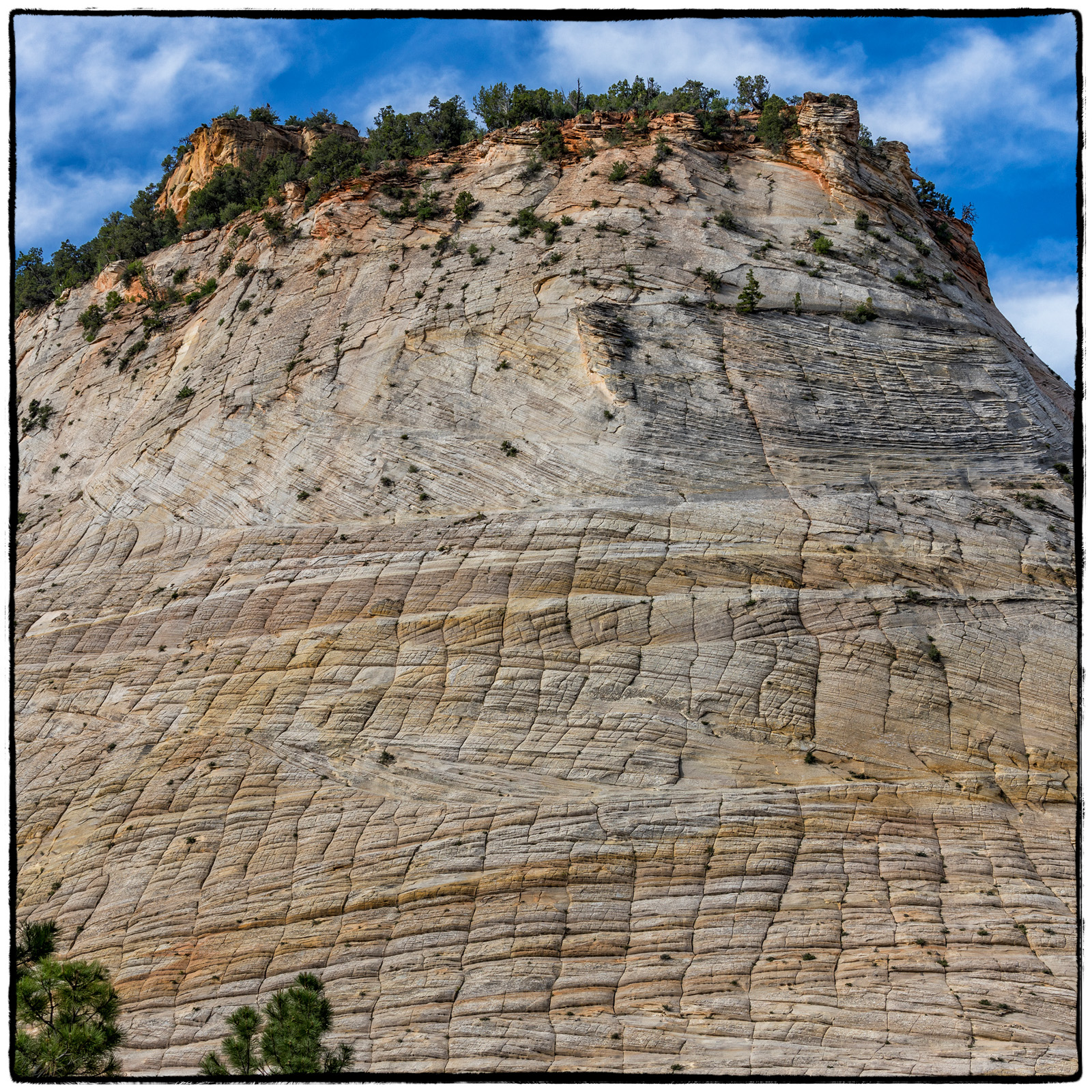 2019 Zion National Park, Utah