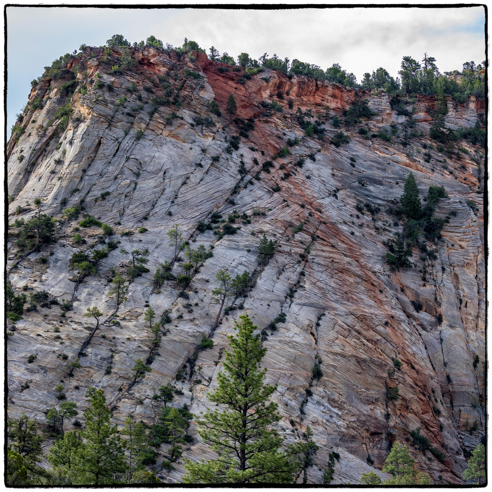 2019 Zion National Park, Utah