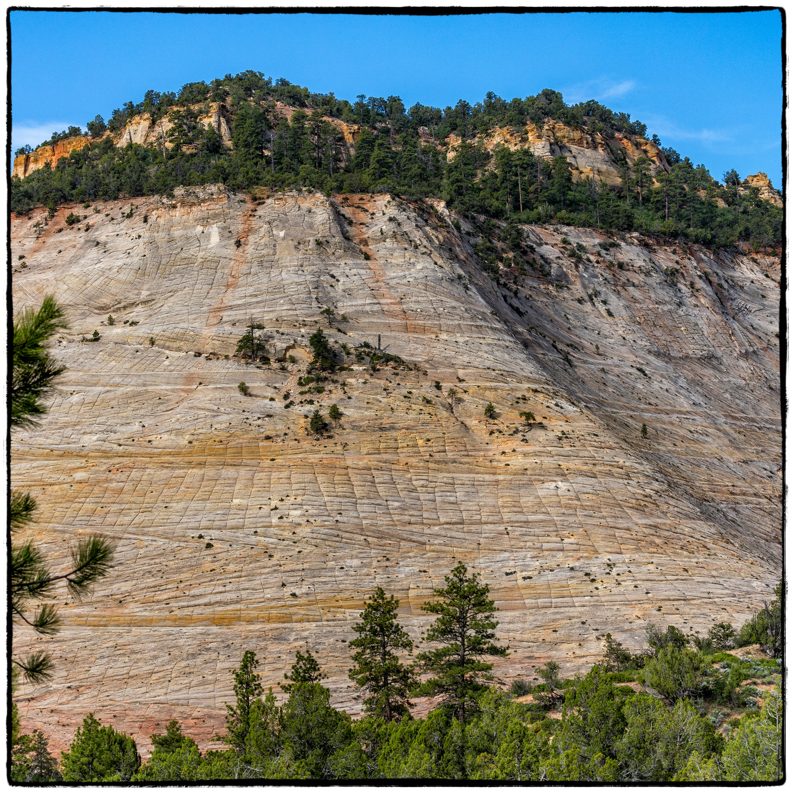 2019 Zion National Park, Utah