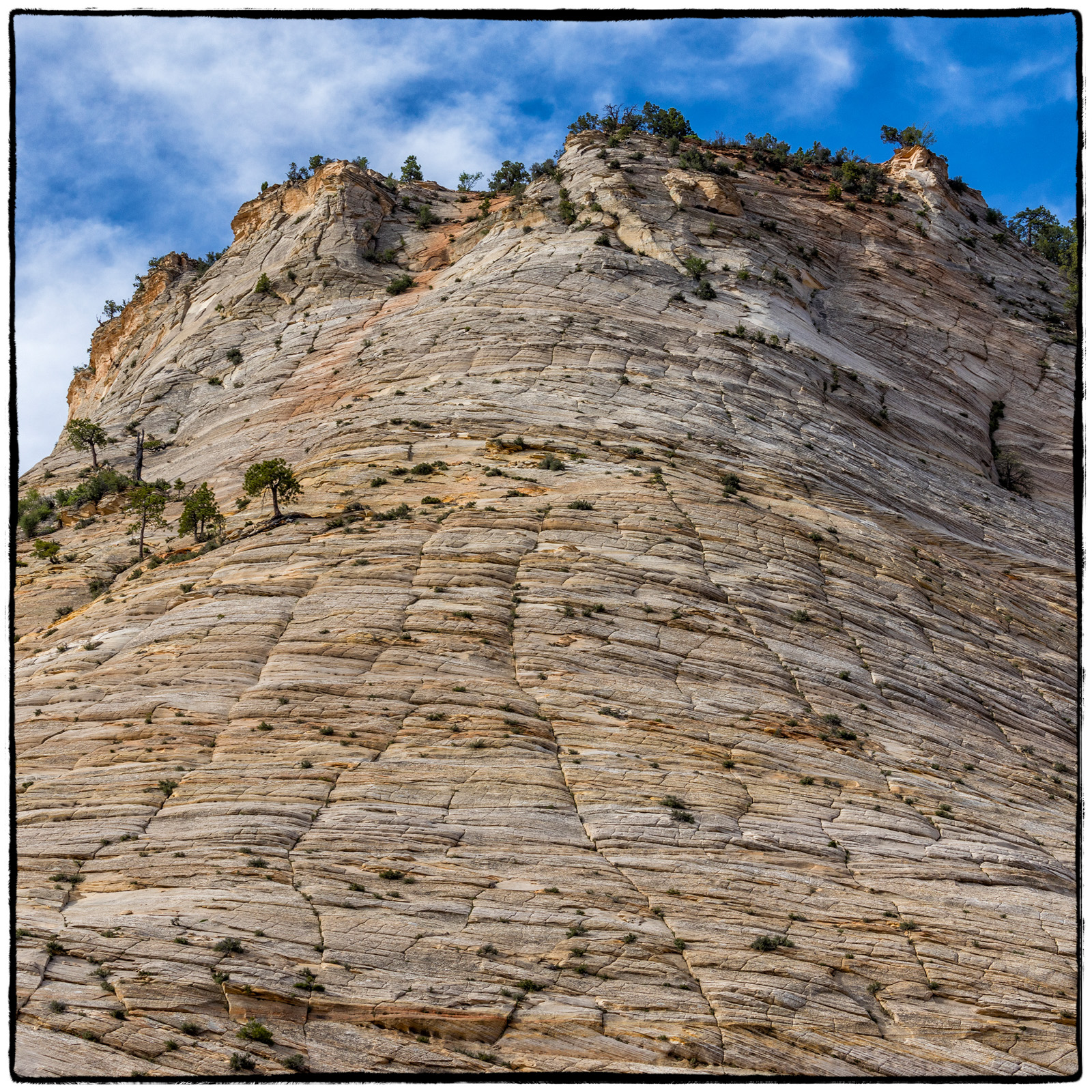 2019 Zion National Park, Utah