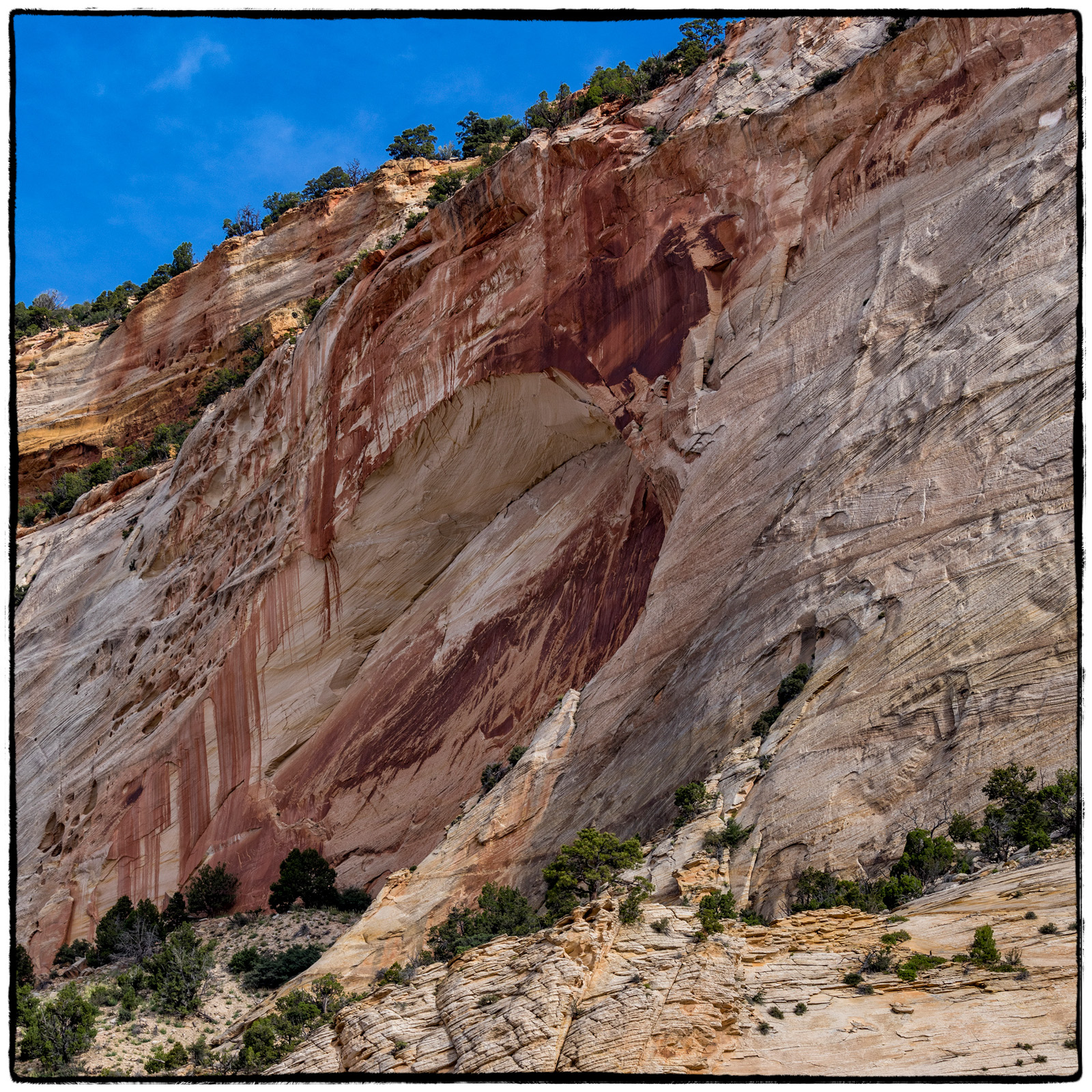 2019 Zion National Park, Utah