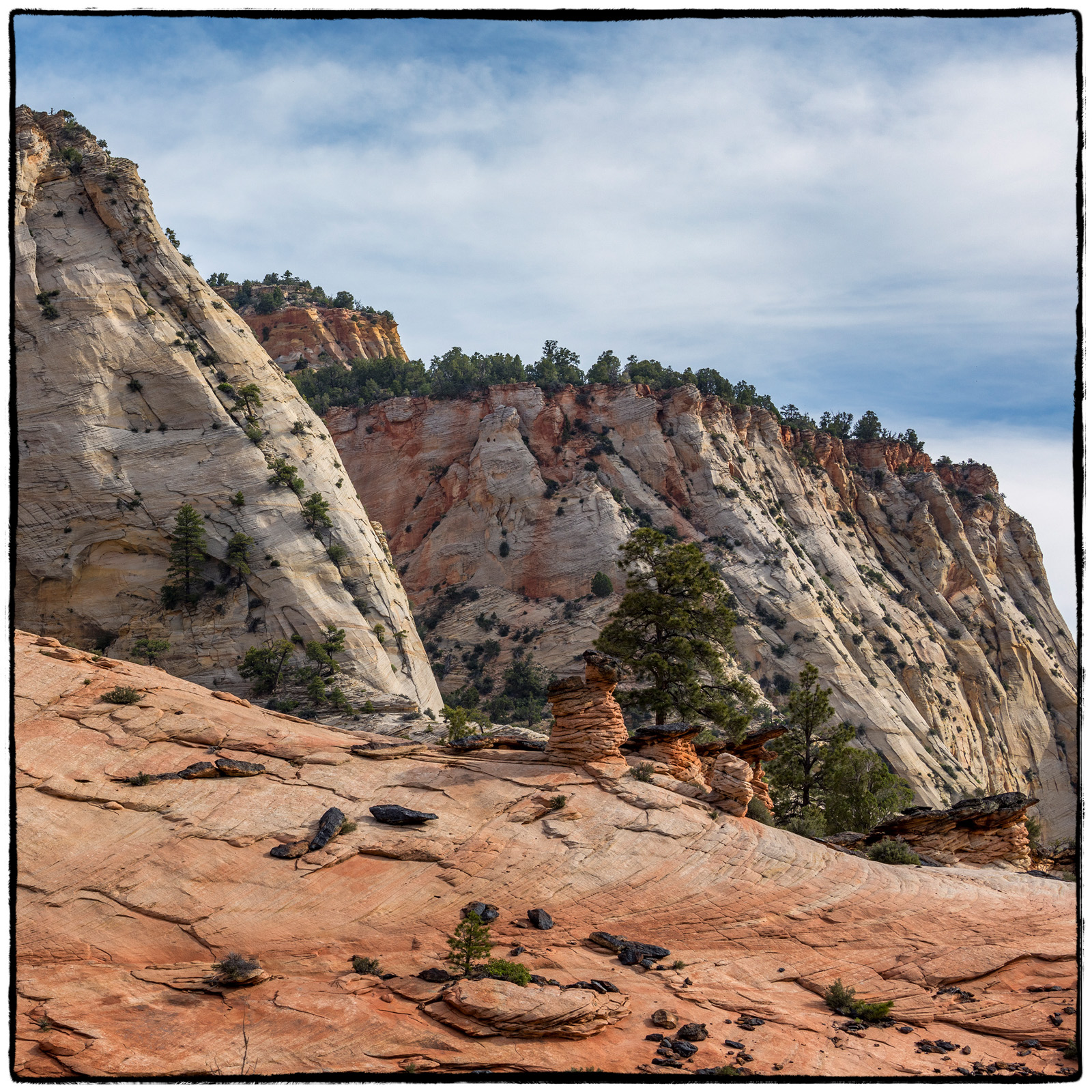 2019 Zion National Park, Utah
