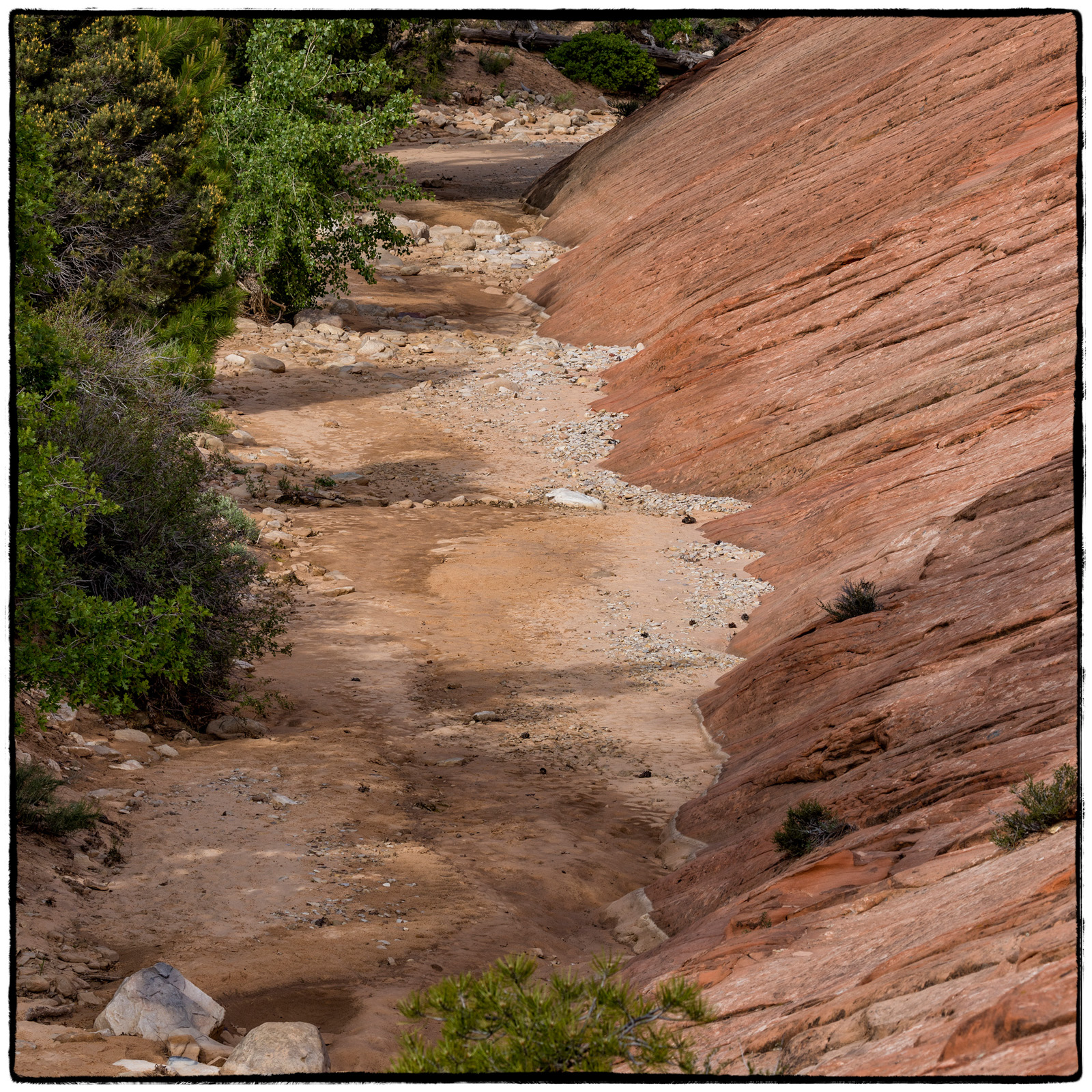 2019 Zion National Park, Utah