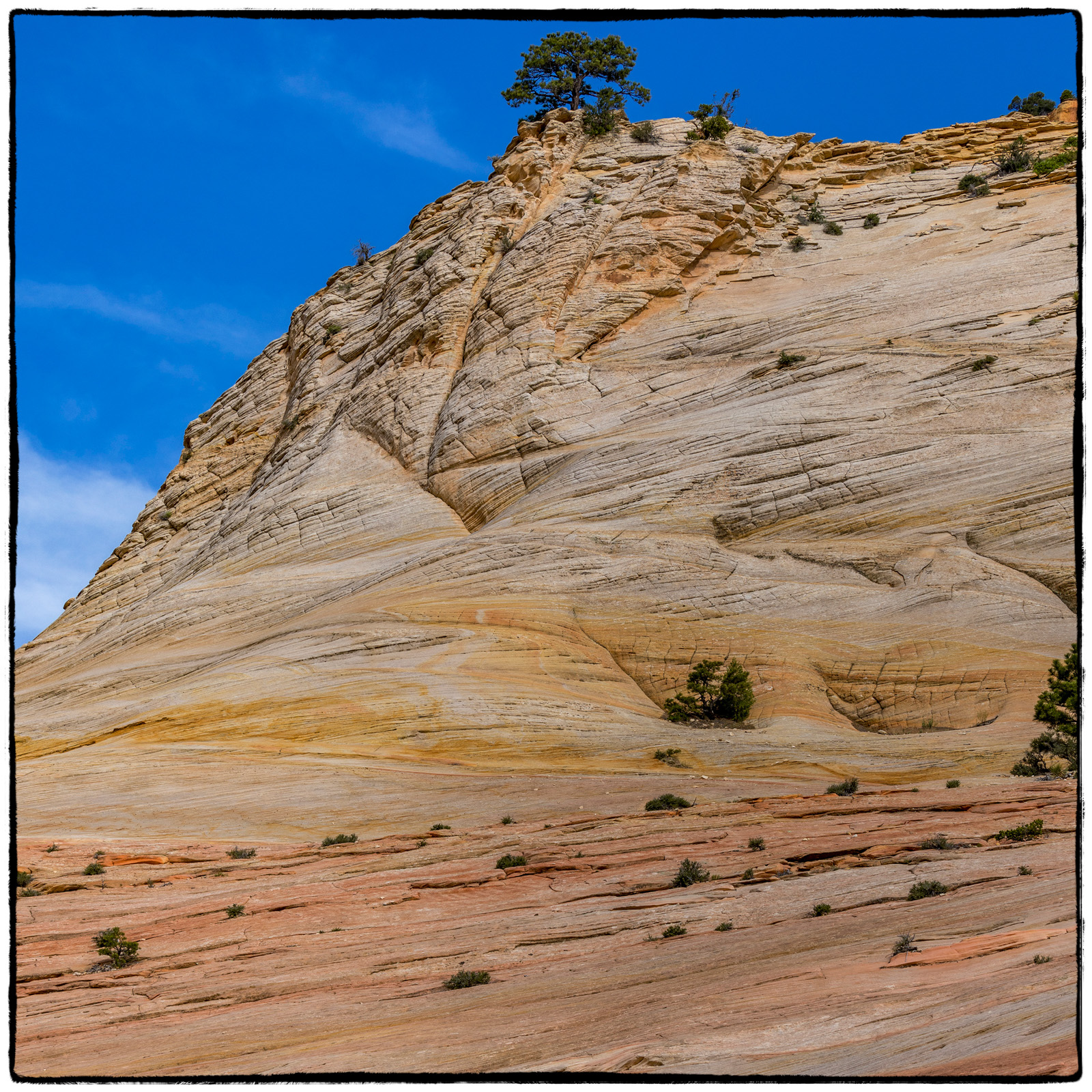 2019 Zion National Park, Utah