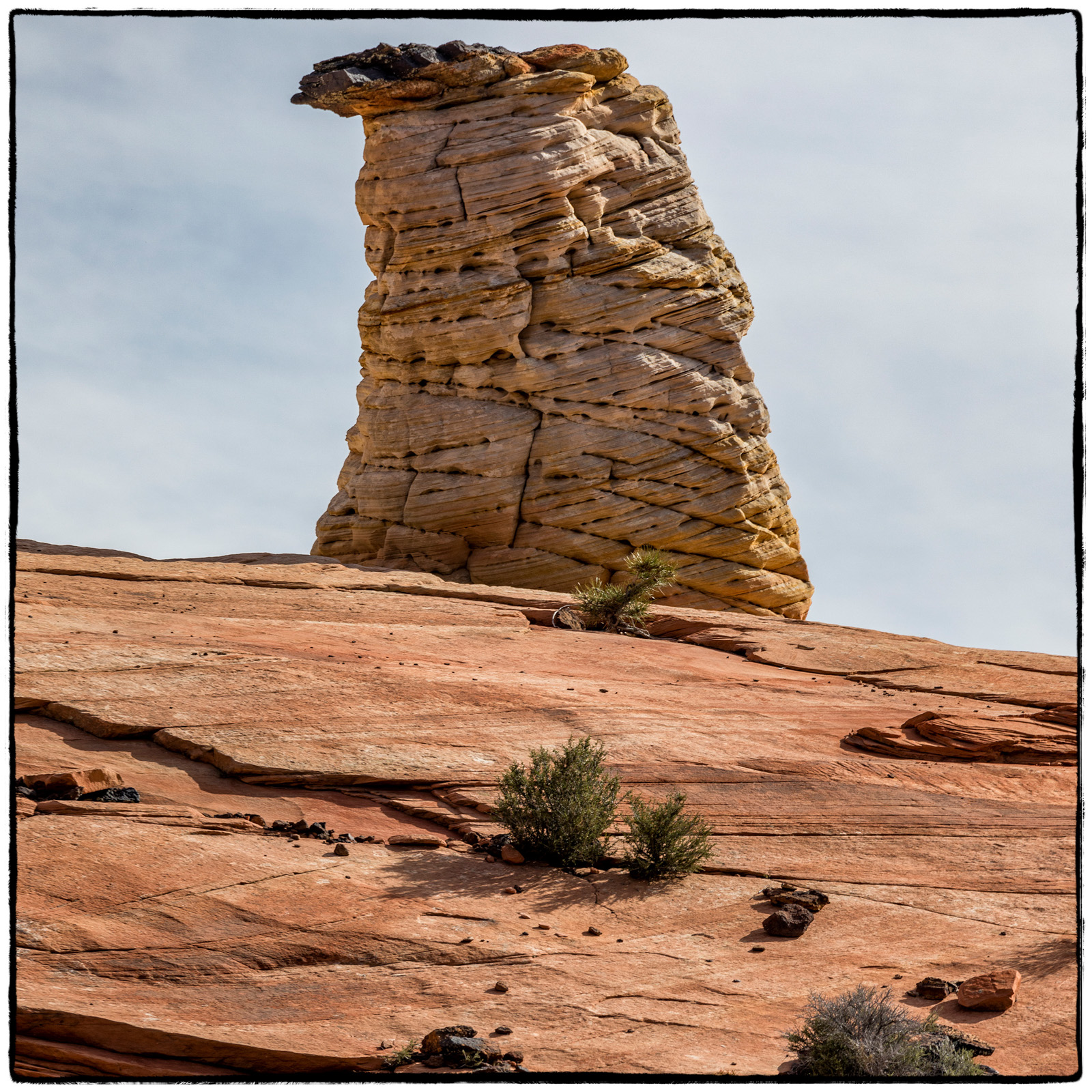 2019 Zion National Park, Utah