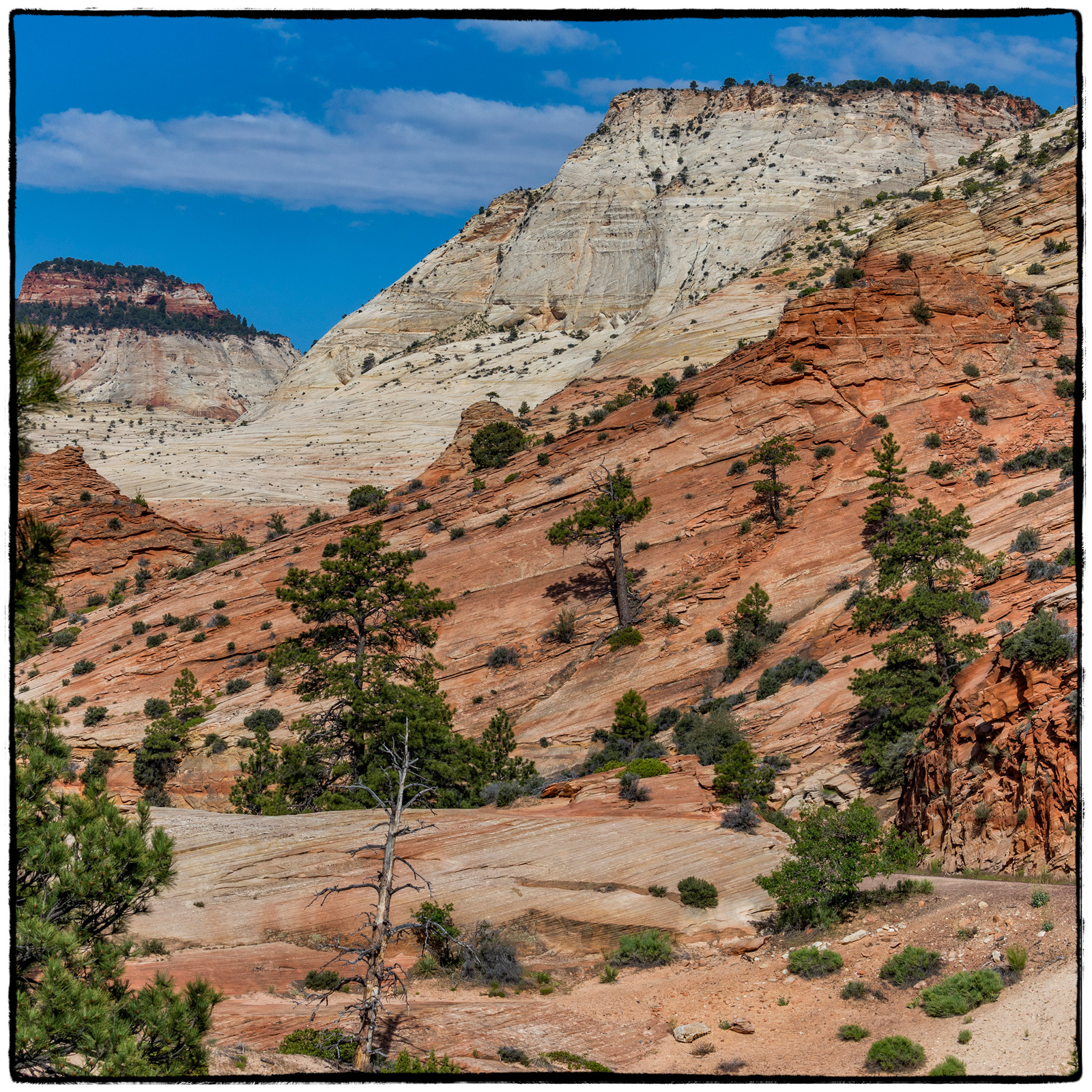 2019 Zion National Park, Utah