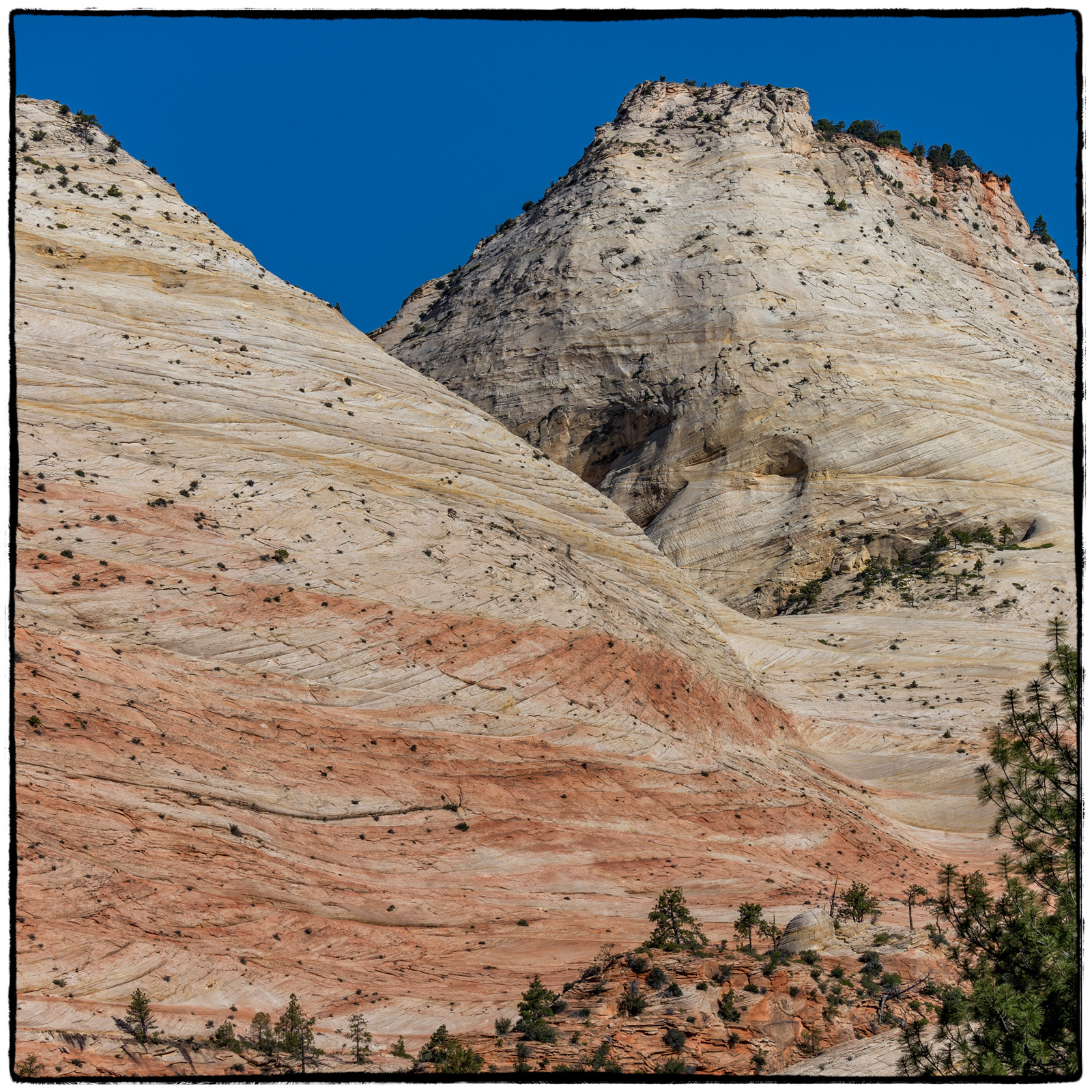 2019 Zion National Park, Utah