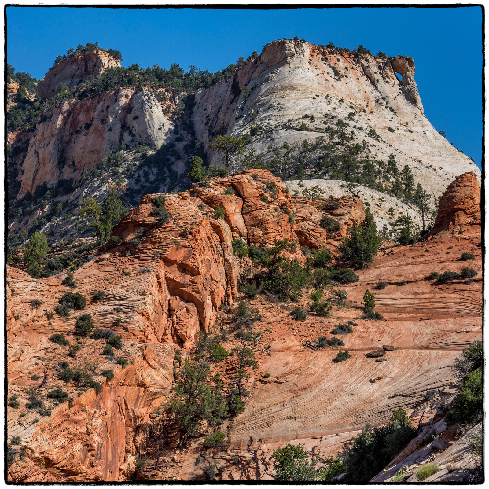 2019 Zion National Park, Utah
