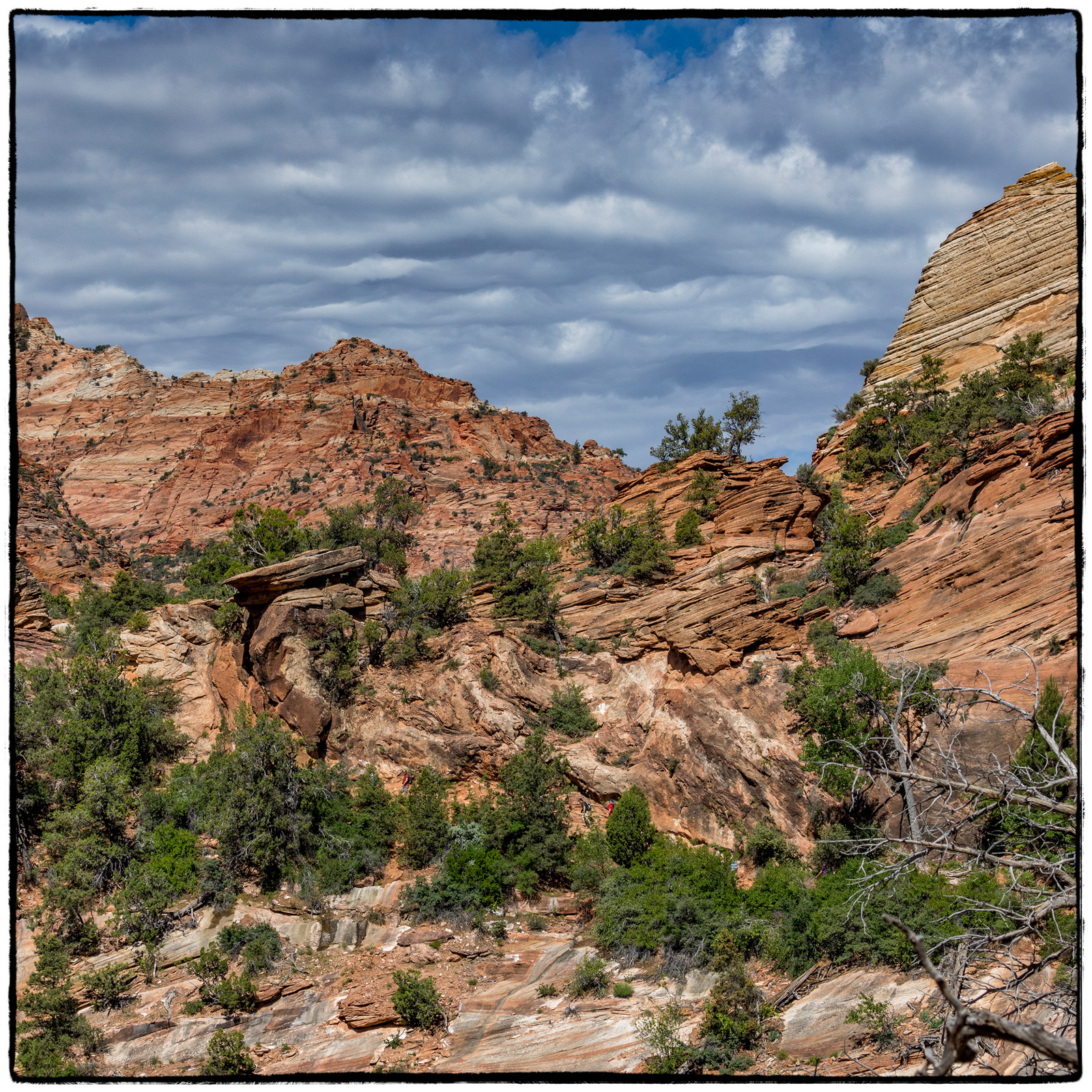 2019 Zion National Park, Utah