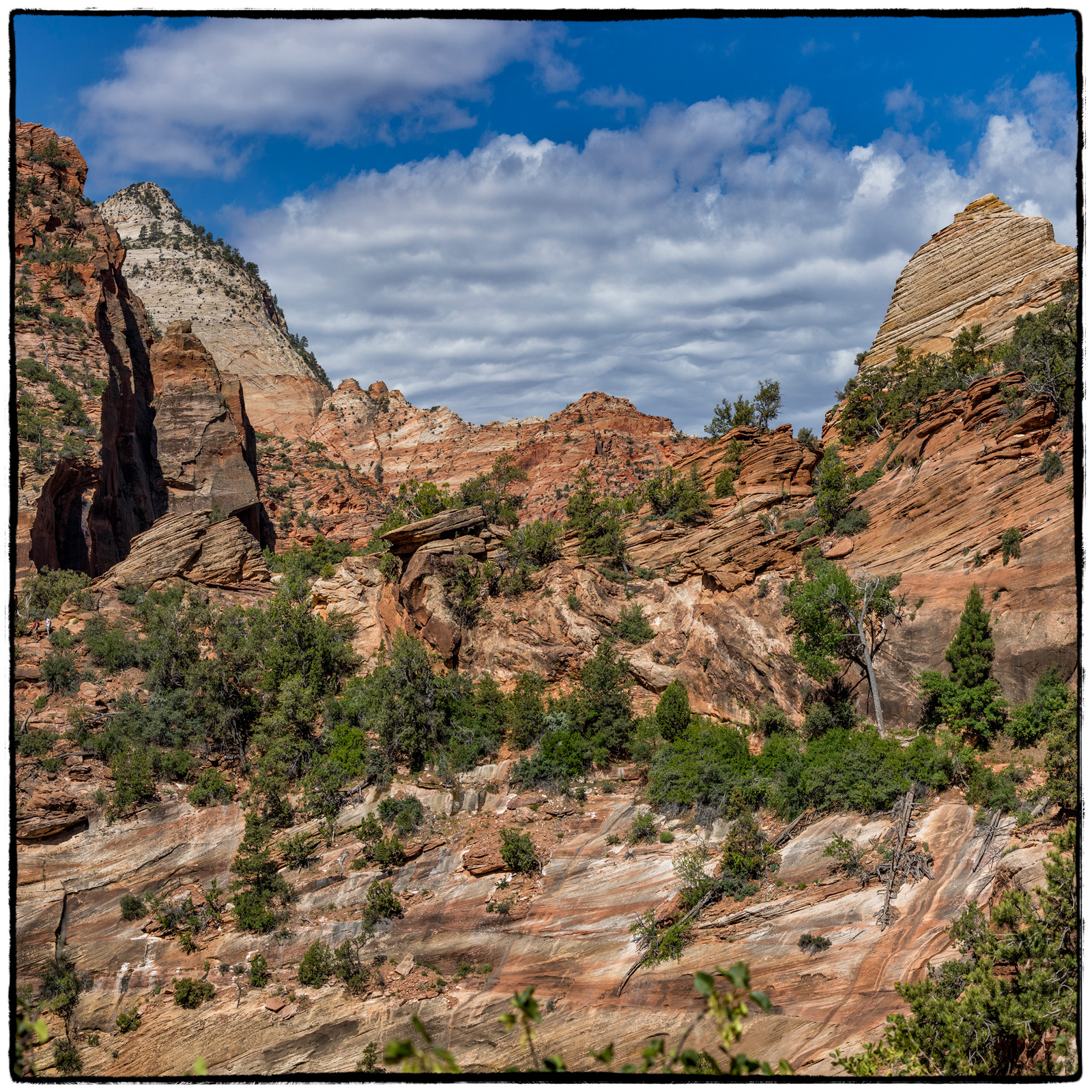 2019 Zion National Park, Utah
