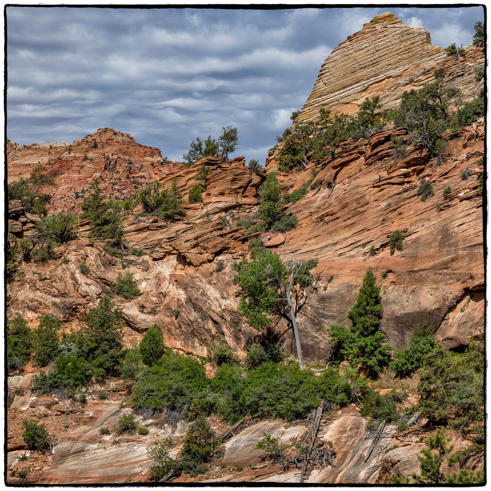 2019 Zion National Park, Utah