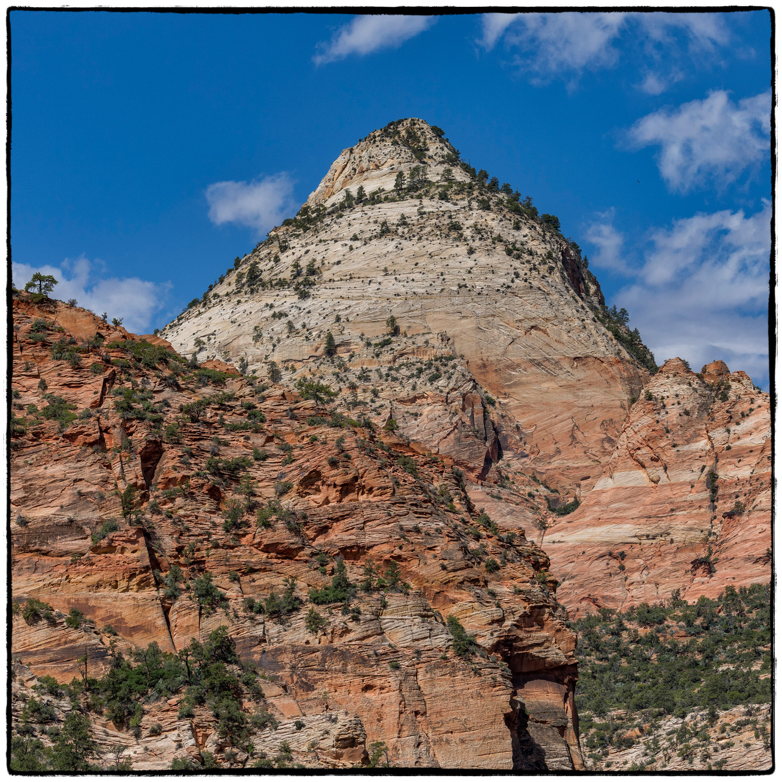 2019 Zion National Park, Utah